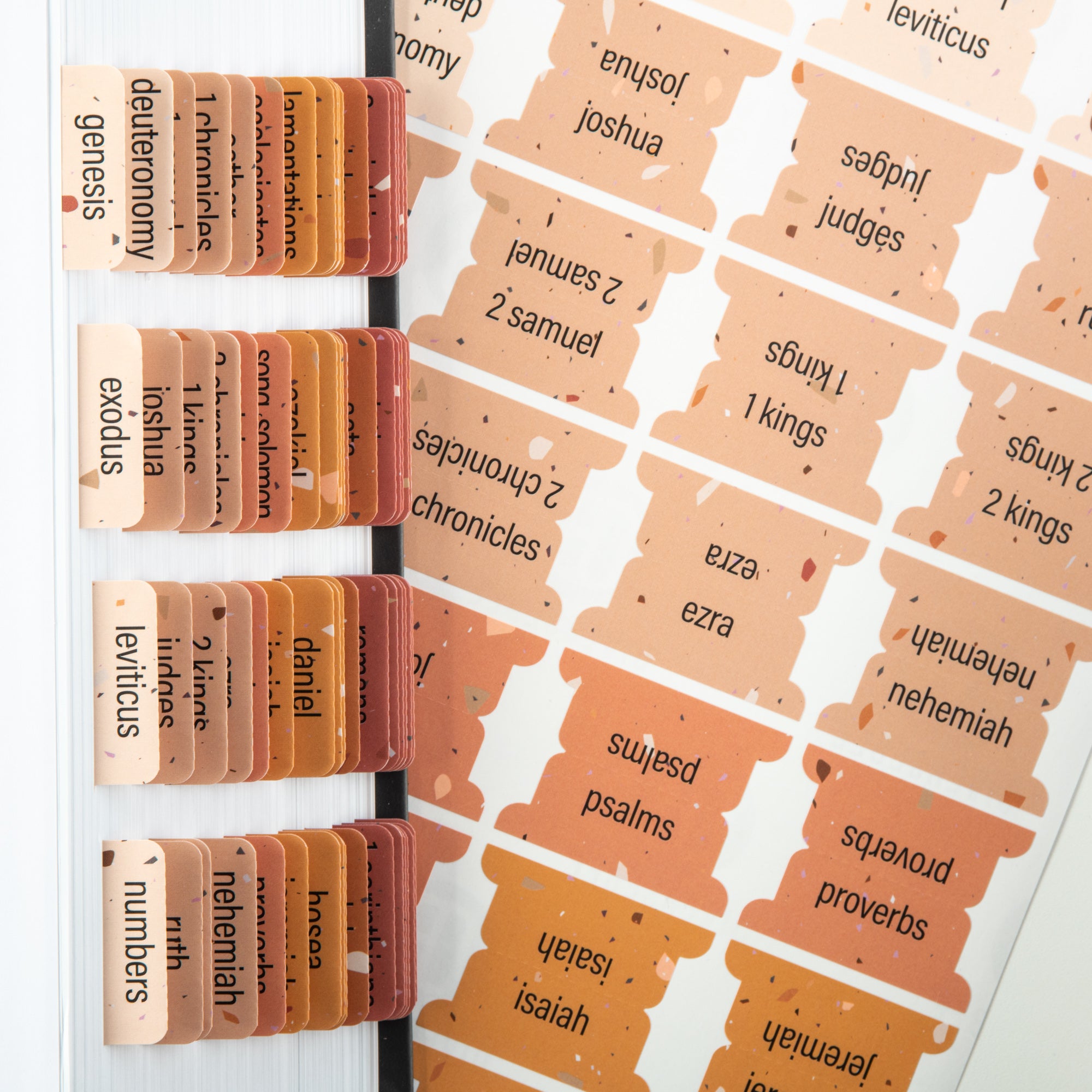 diversebee laminated bible tabs