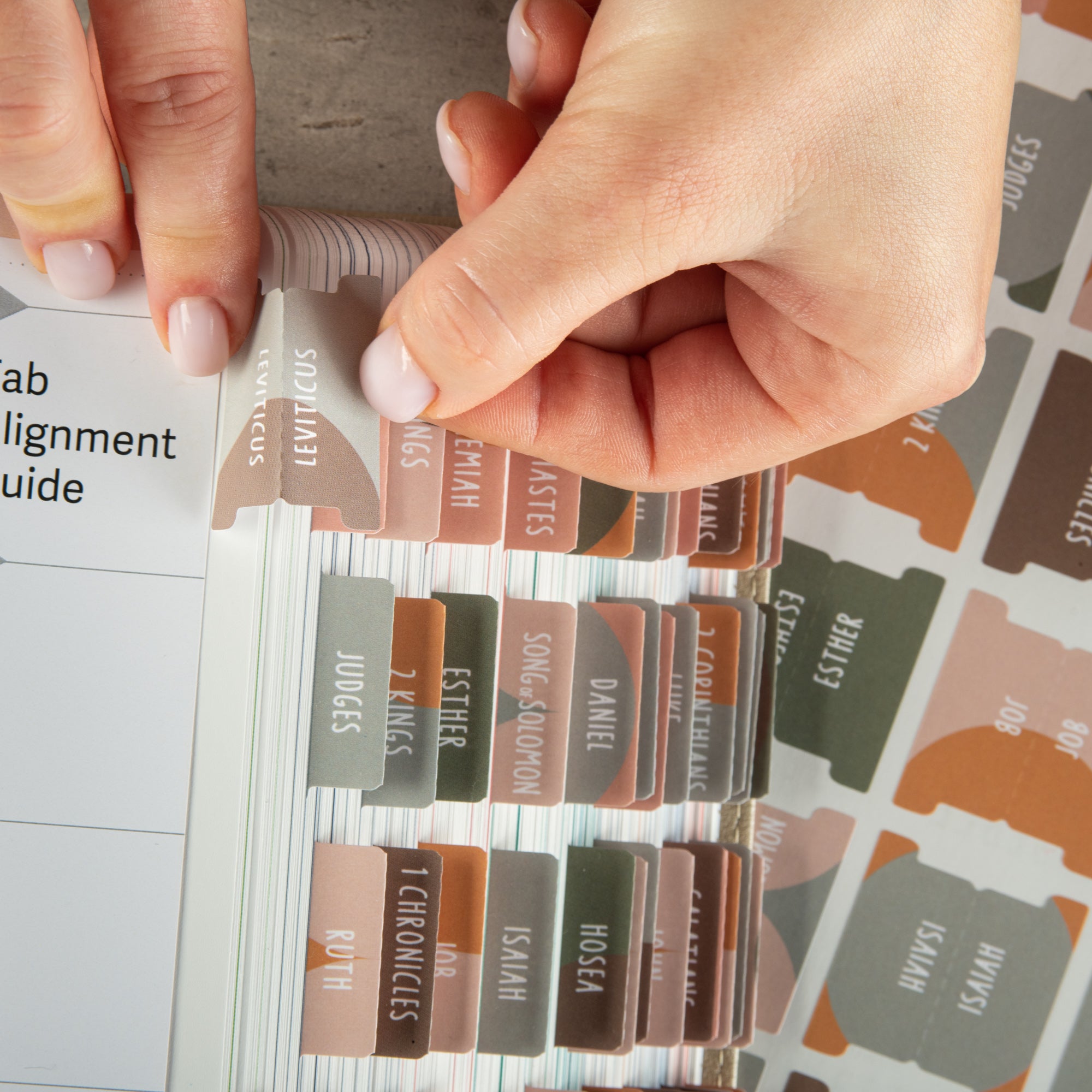 bible book tabs