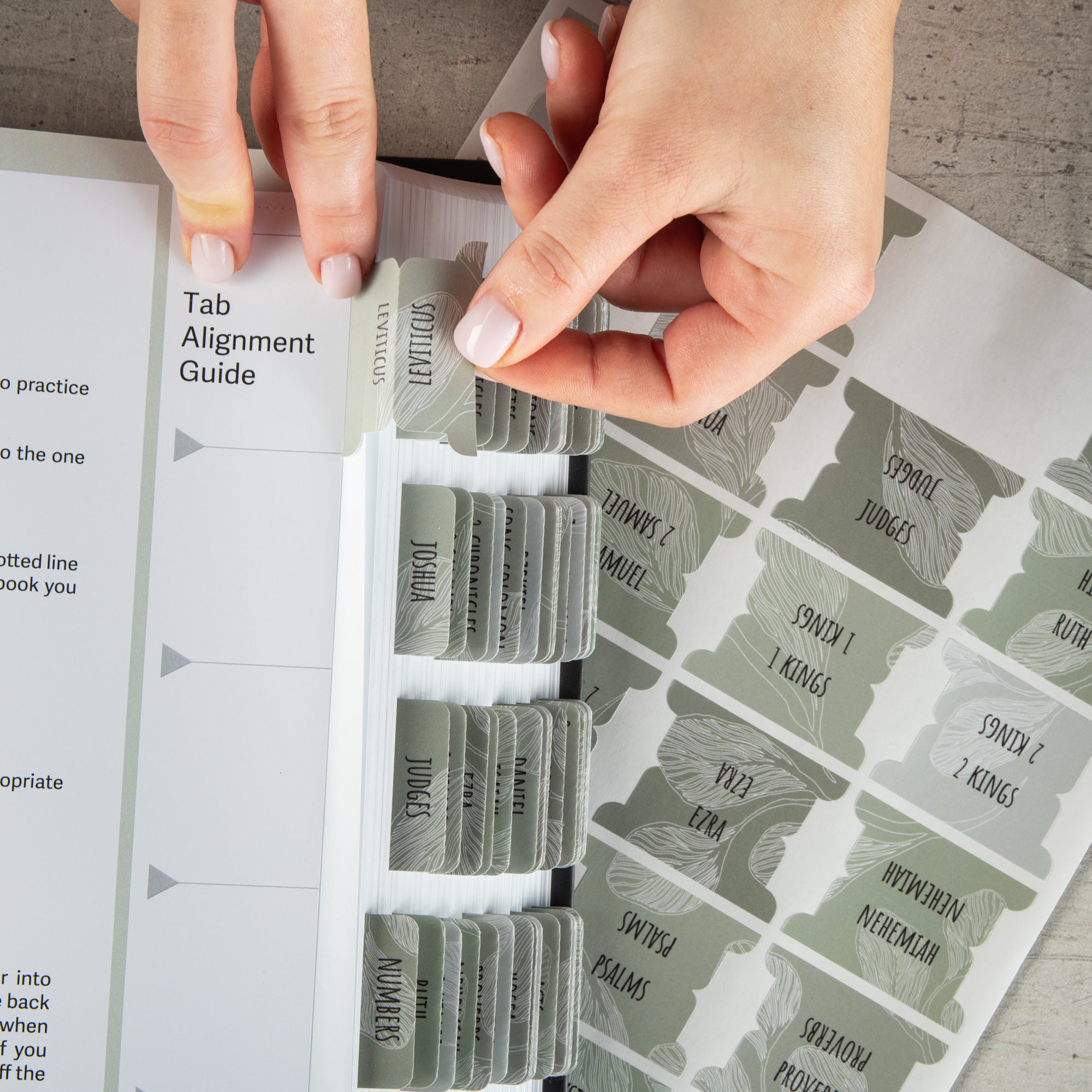 Bible Tabs - Sage Theme