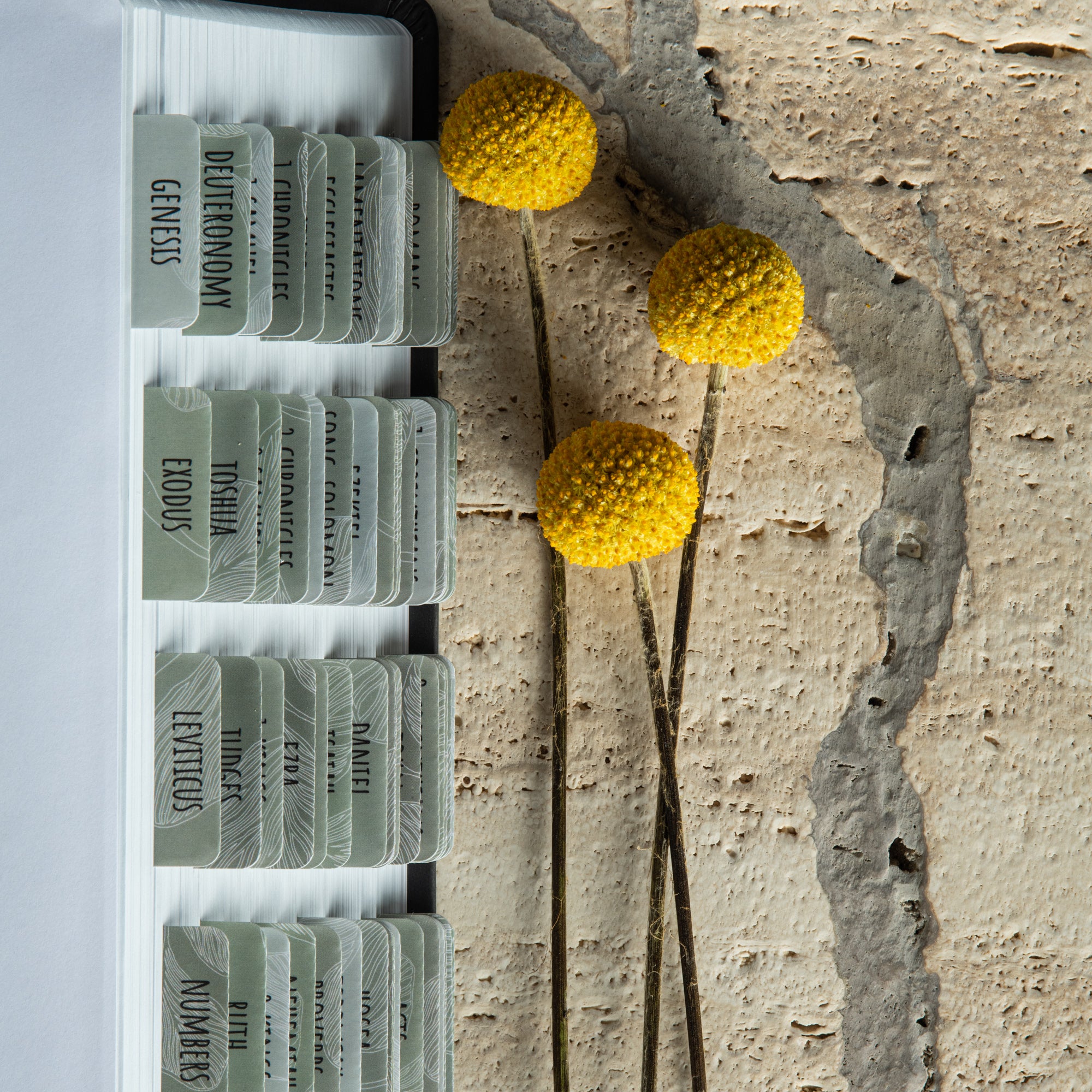 bible book tabs