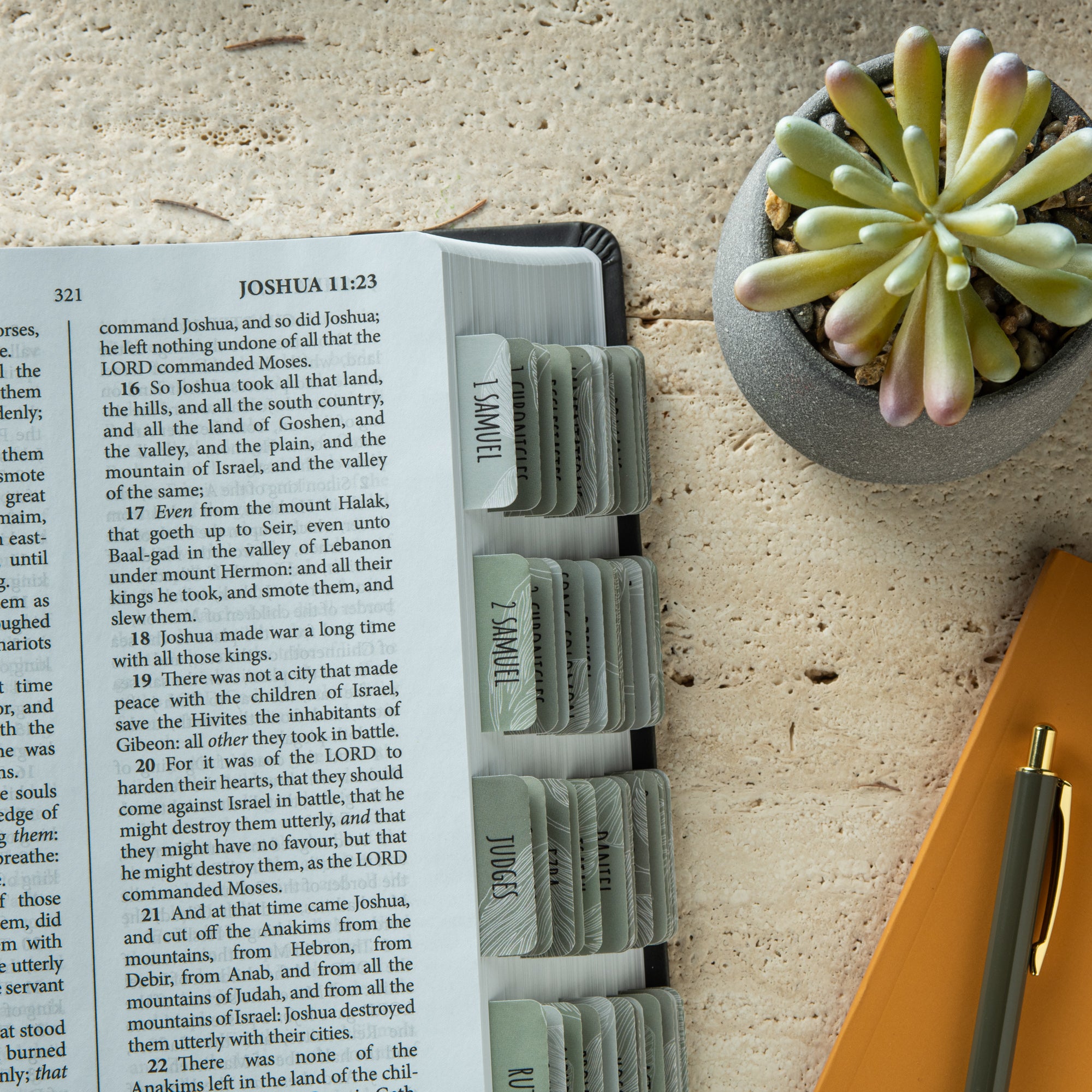 laminated bible tabs for women