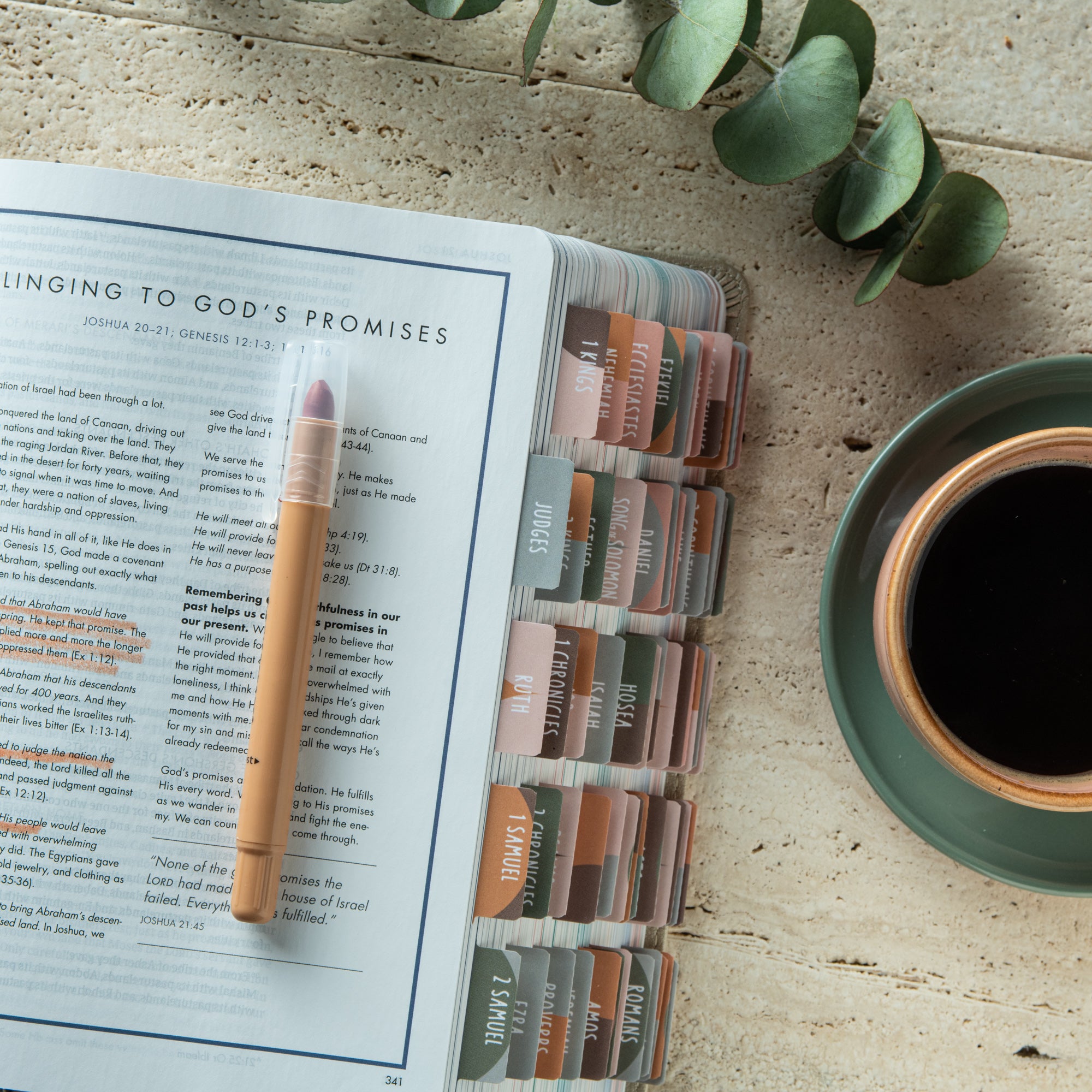 sunset bible tabs for women