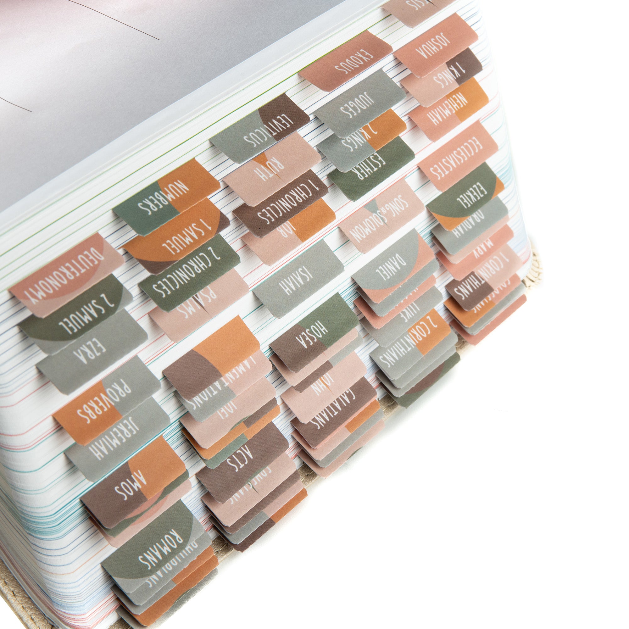 diversebee bible tabs