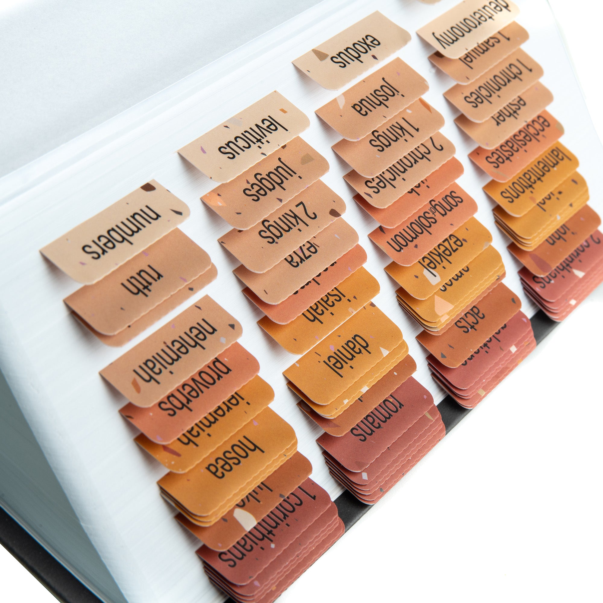 laminated bible book tabs