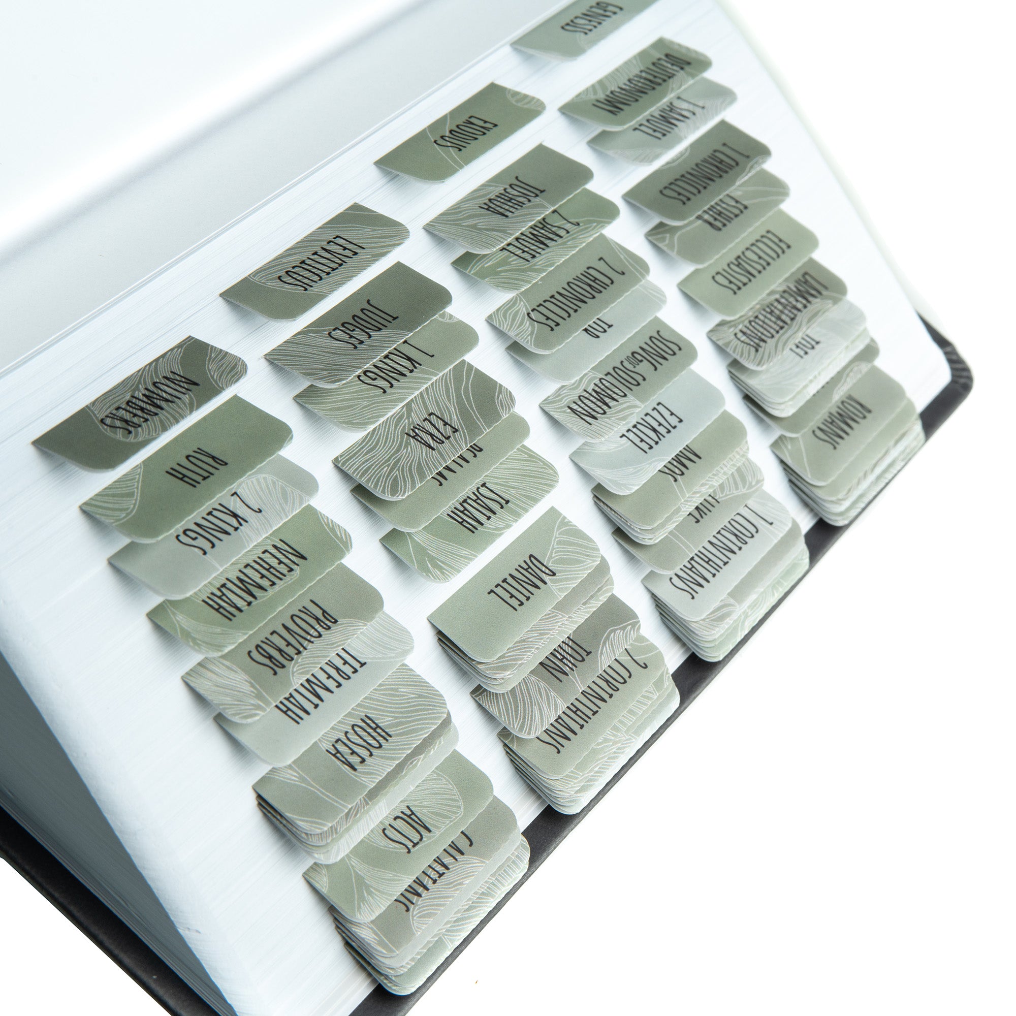 Sage Bible tabs