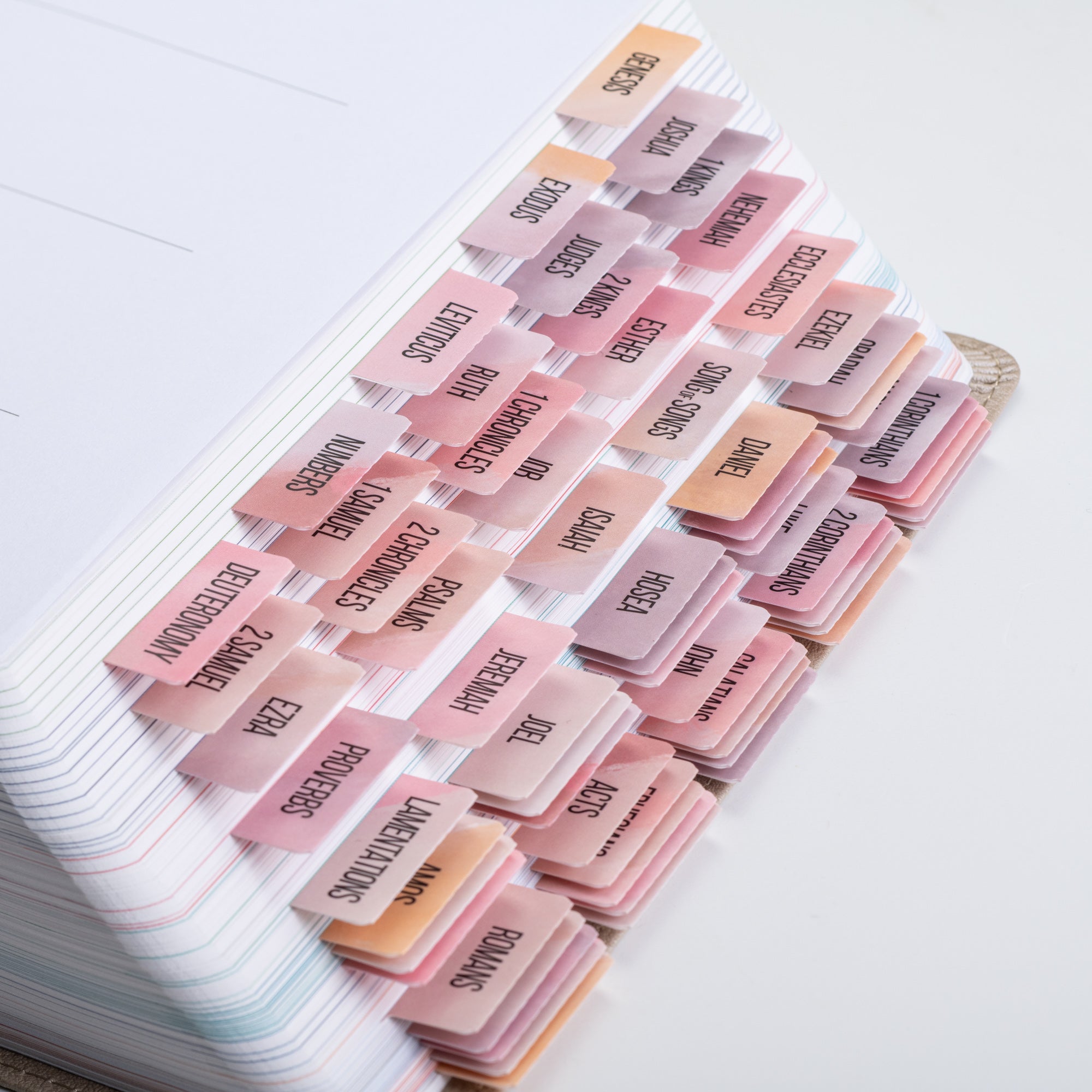 DiverseBee Bible tabs for women pink