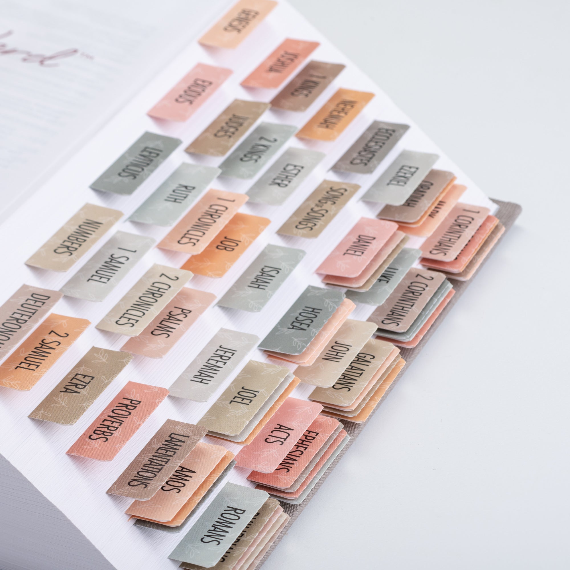 Bible Tabs - Earthy Theme