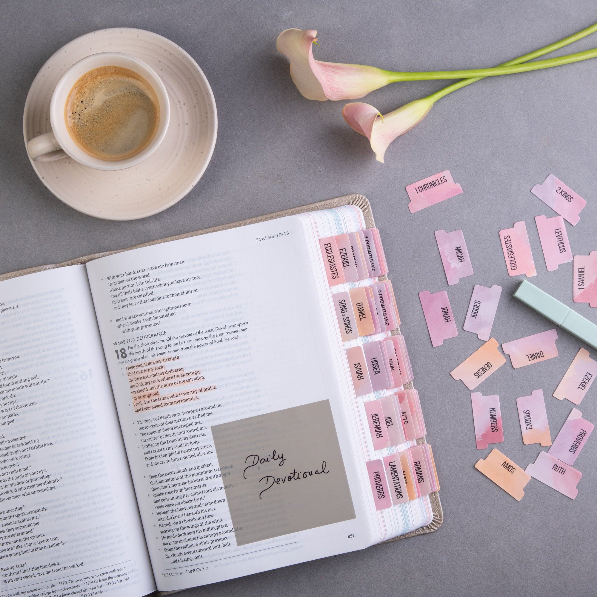 Bible Tabs - Boho Theme