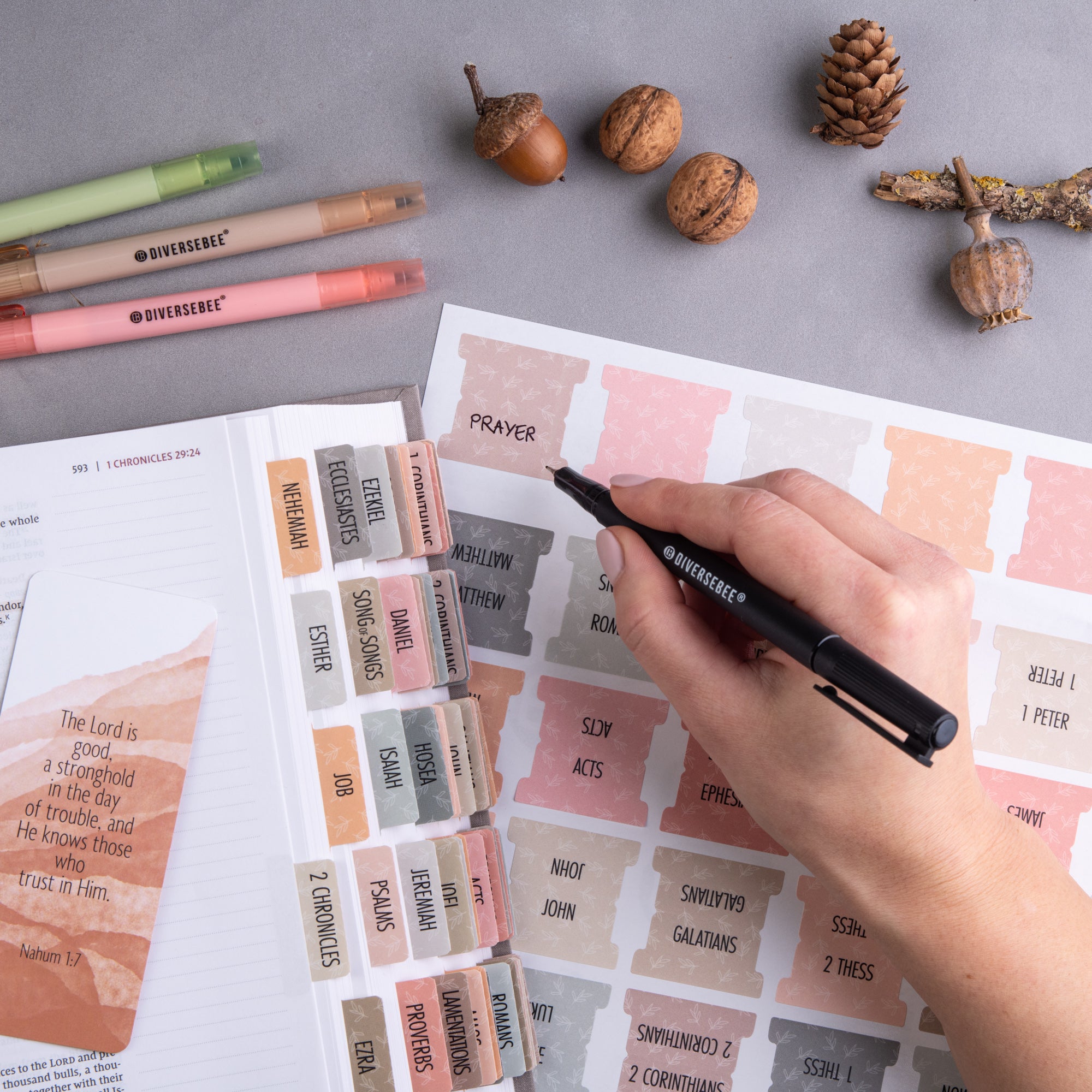 Bible Tabs - Earthy Theme