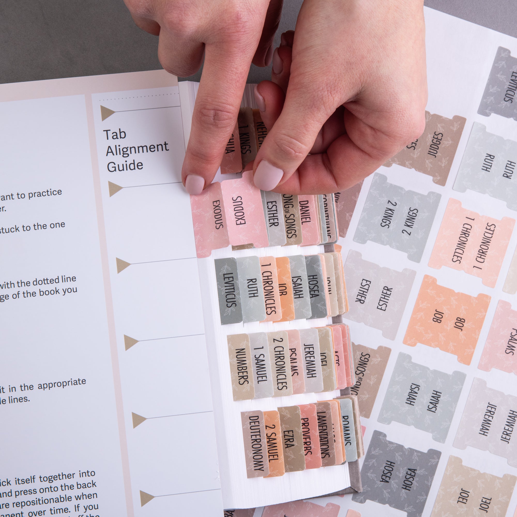 Bible Tabs - Earthy Theme