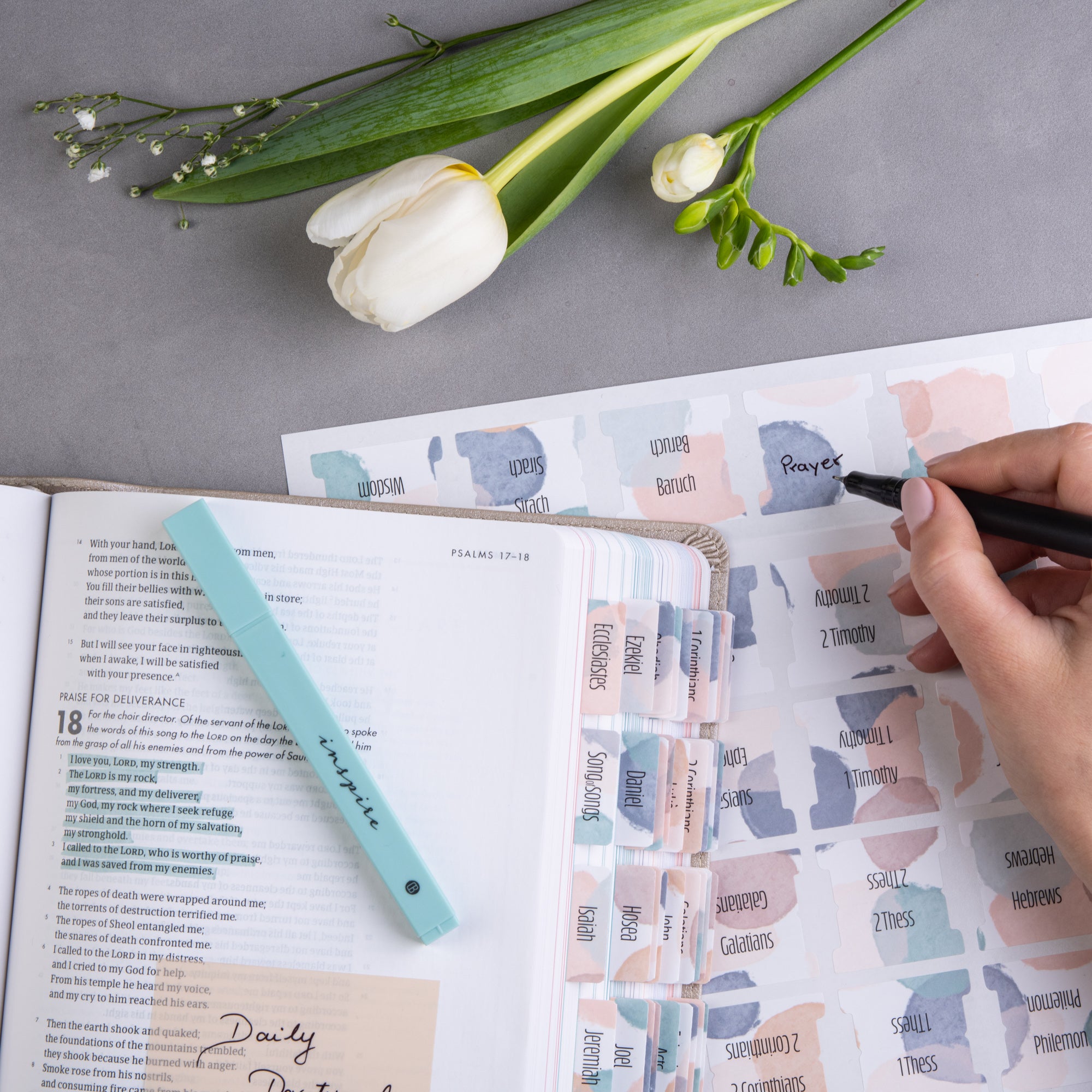 Bible Tabs - Clouds Theme