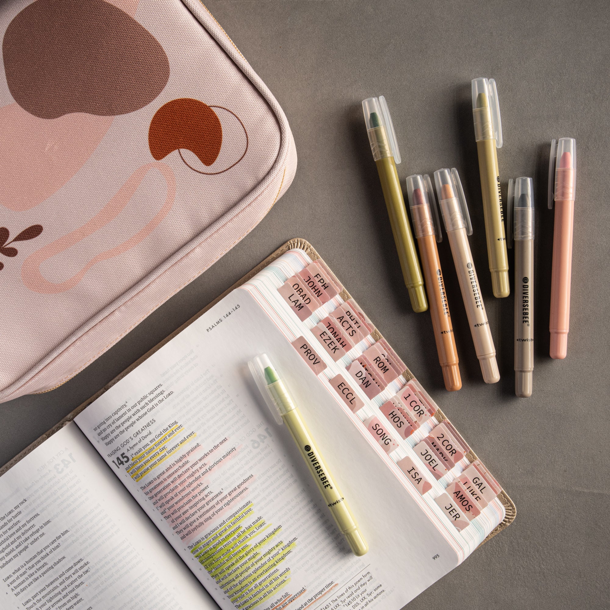 DiverseBee Bible Highlighters and Bible Cover