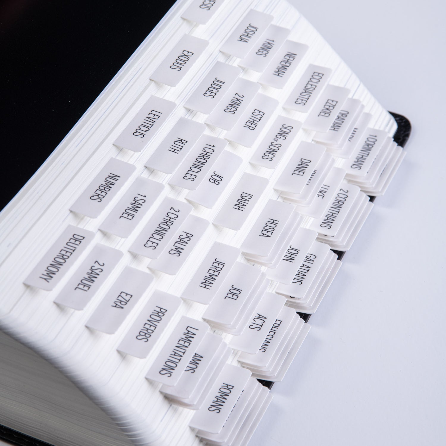 Bible Tabs - Magnolia Theme