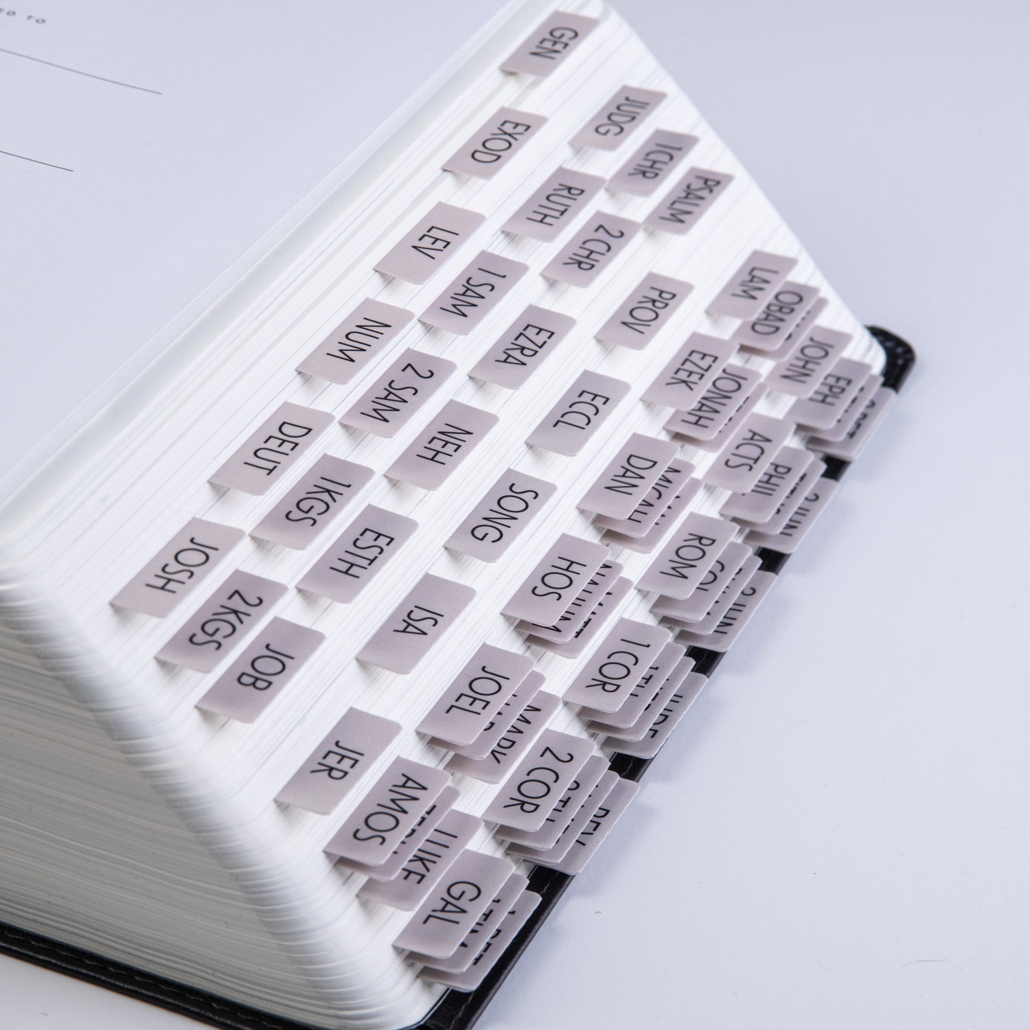 Bible Tabs Mini - Clay Theme