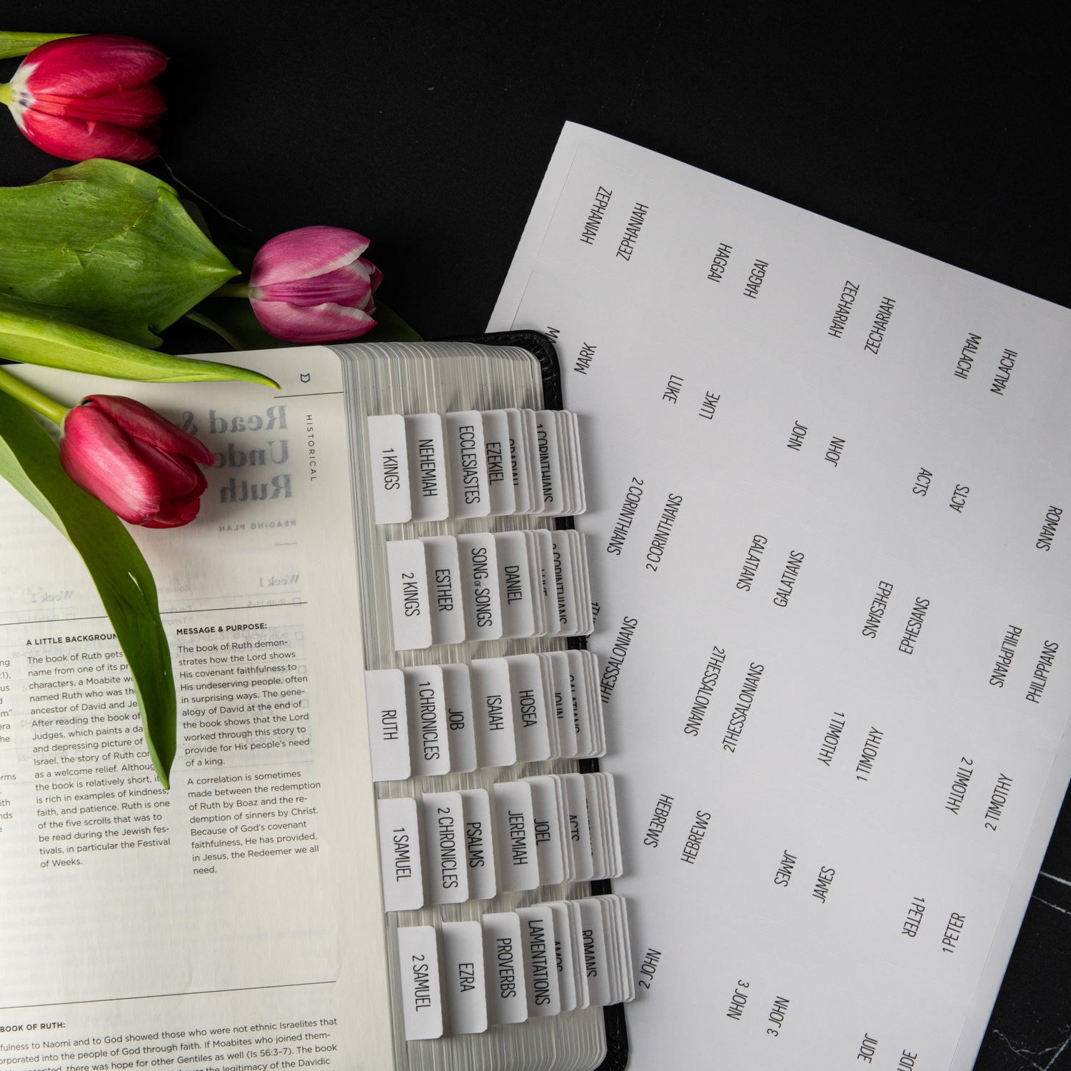 Bible Tabs - Magnolia Theme