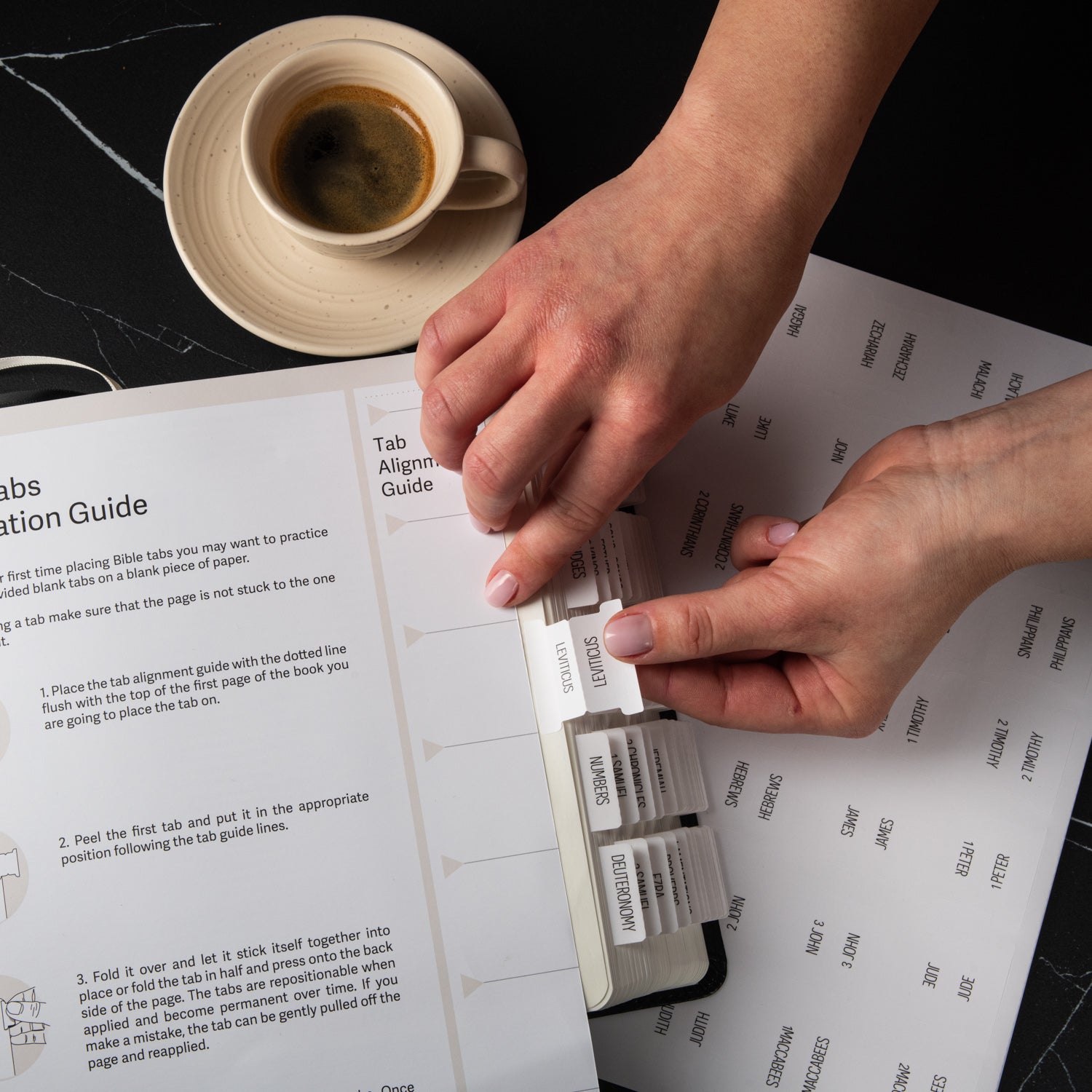 Bible Tabs - Magnolia Theme