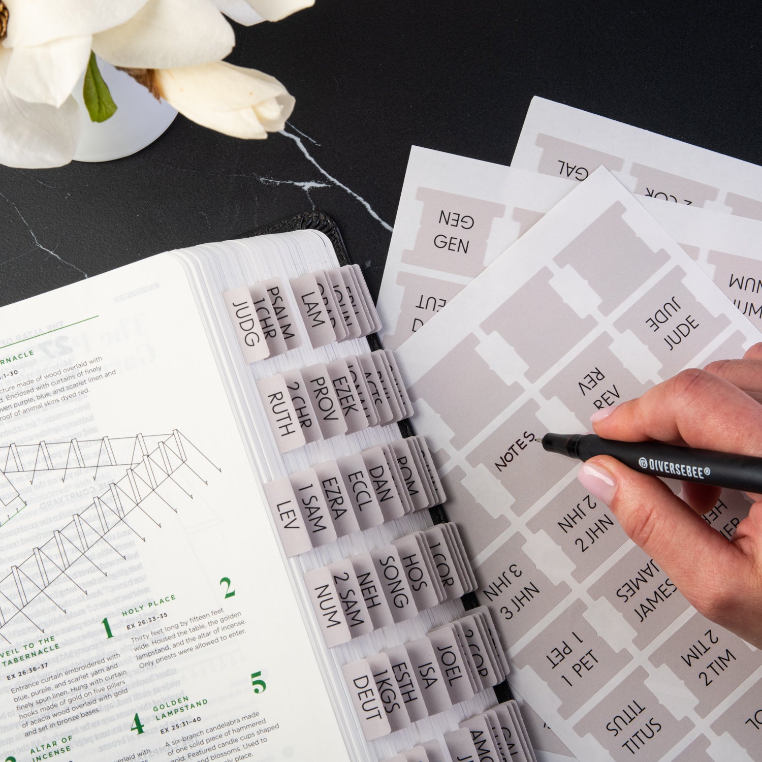 Bible Tabs Mini - Clay Theme