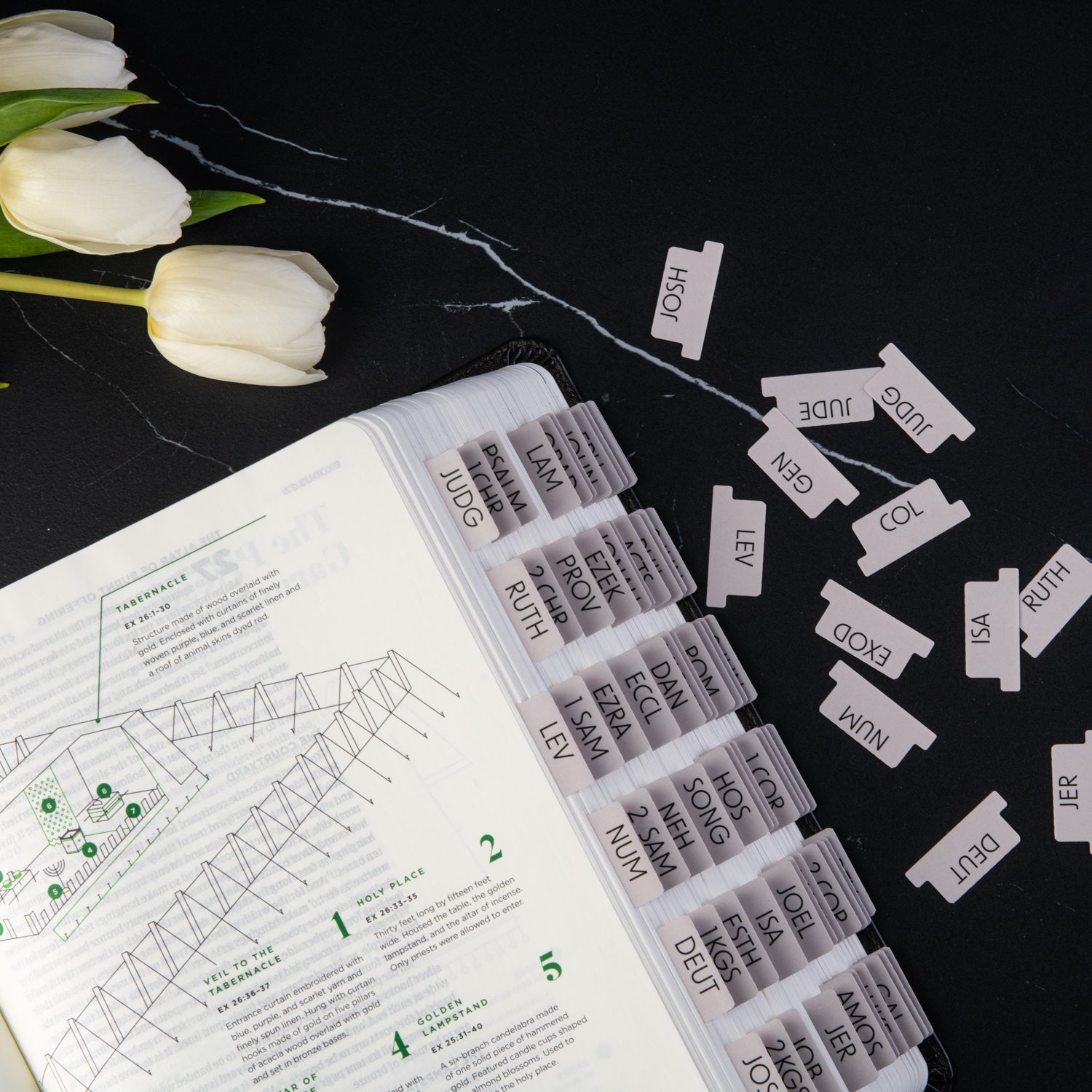 Bible Tabs Mini - Clay Theme