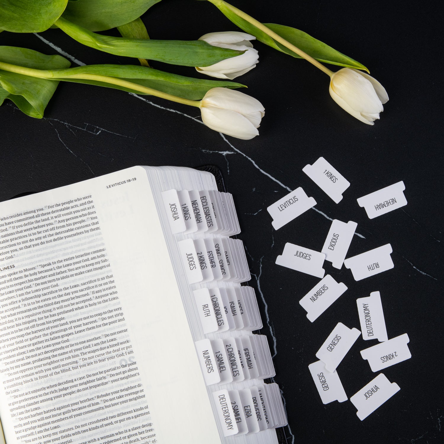 Bible Tabs - Magnolia Theme