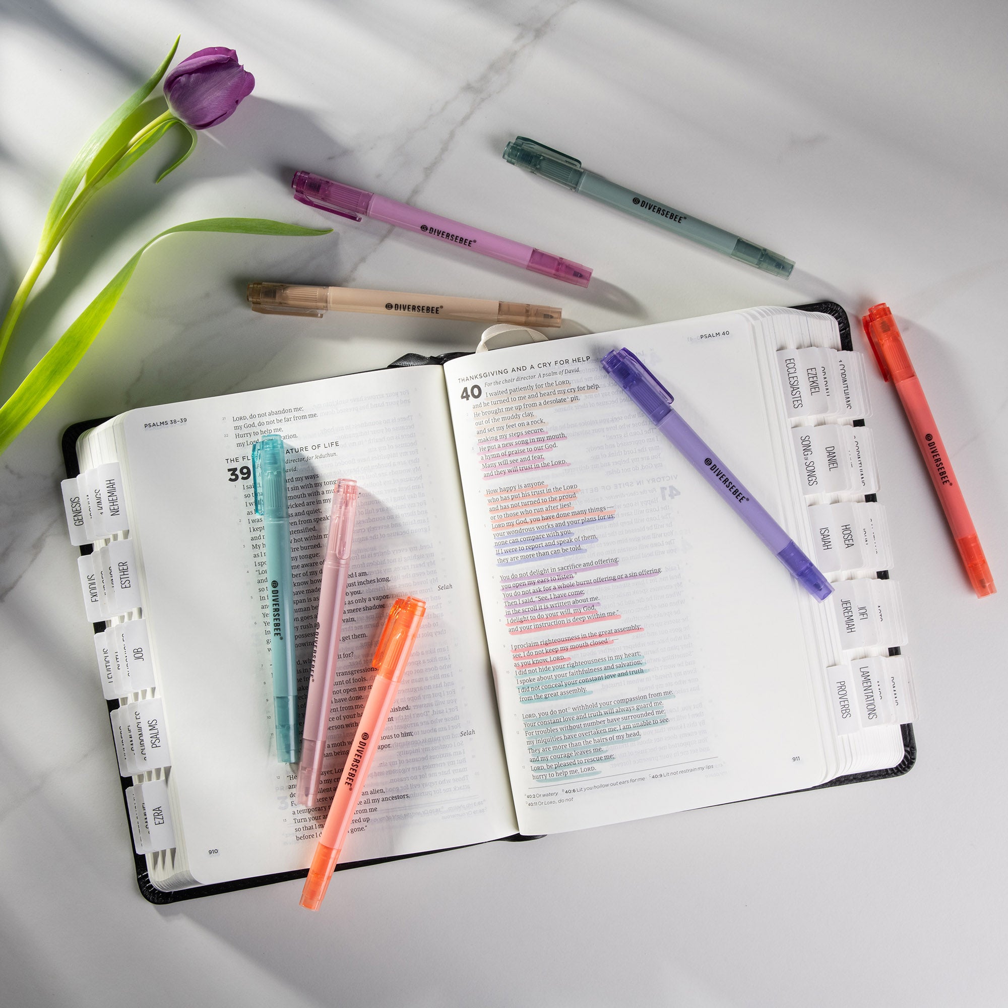 DiverseBee Bible Safe Highlighters and Pens