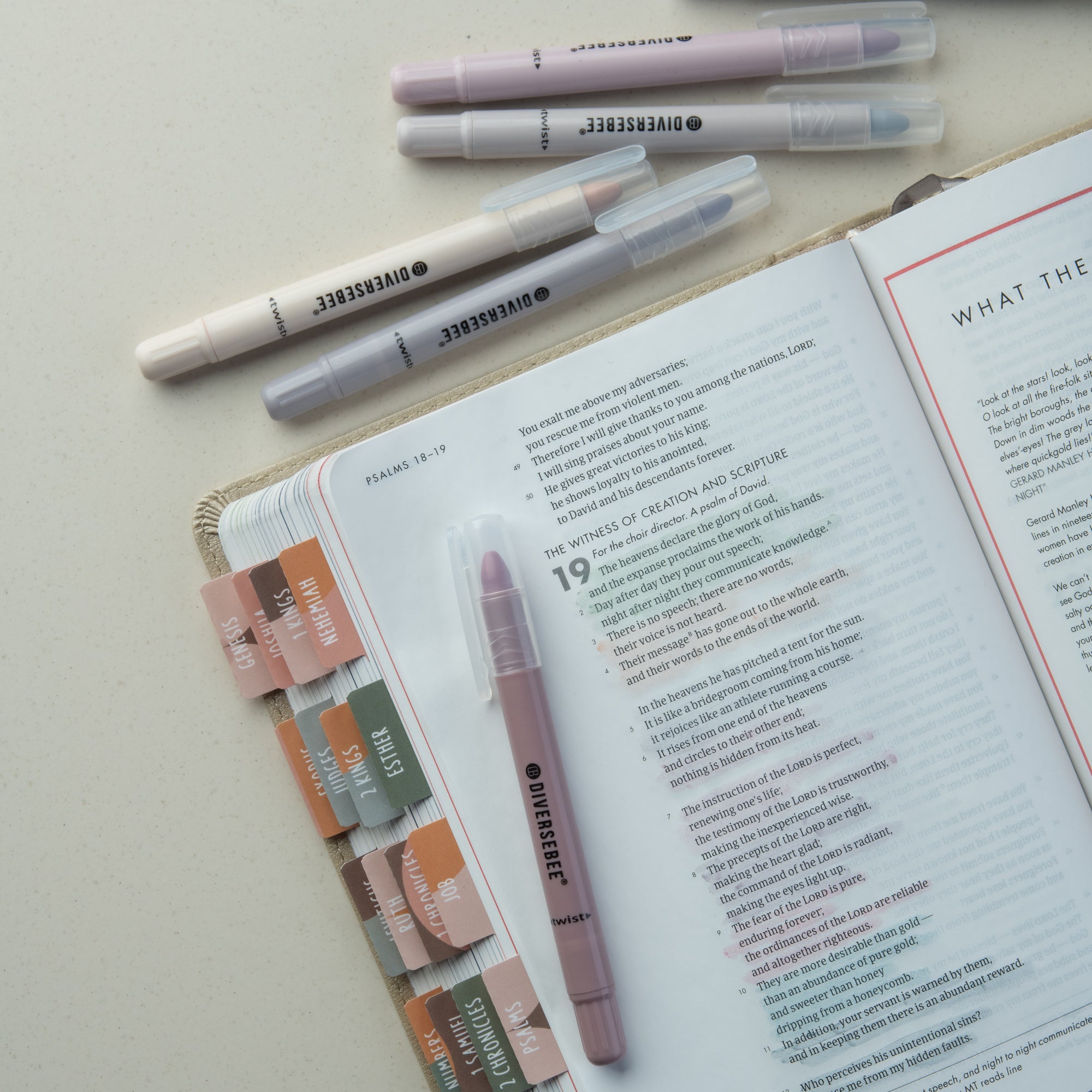 DiverseBee Bible Faith markers