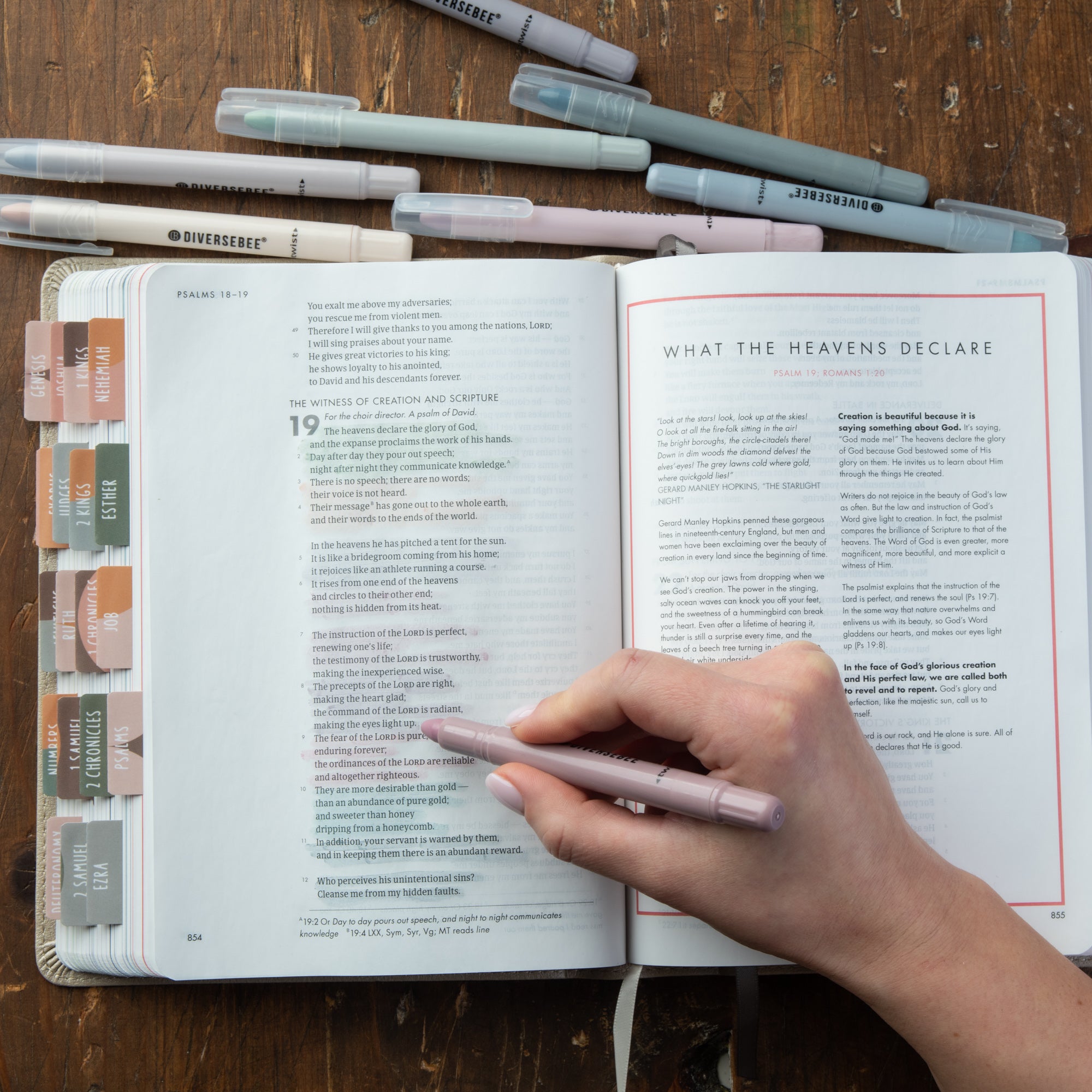 DiverseBee Bible Safe highlighters