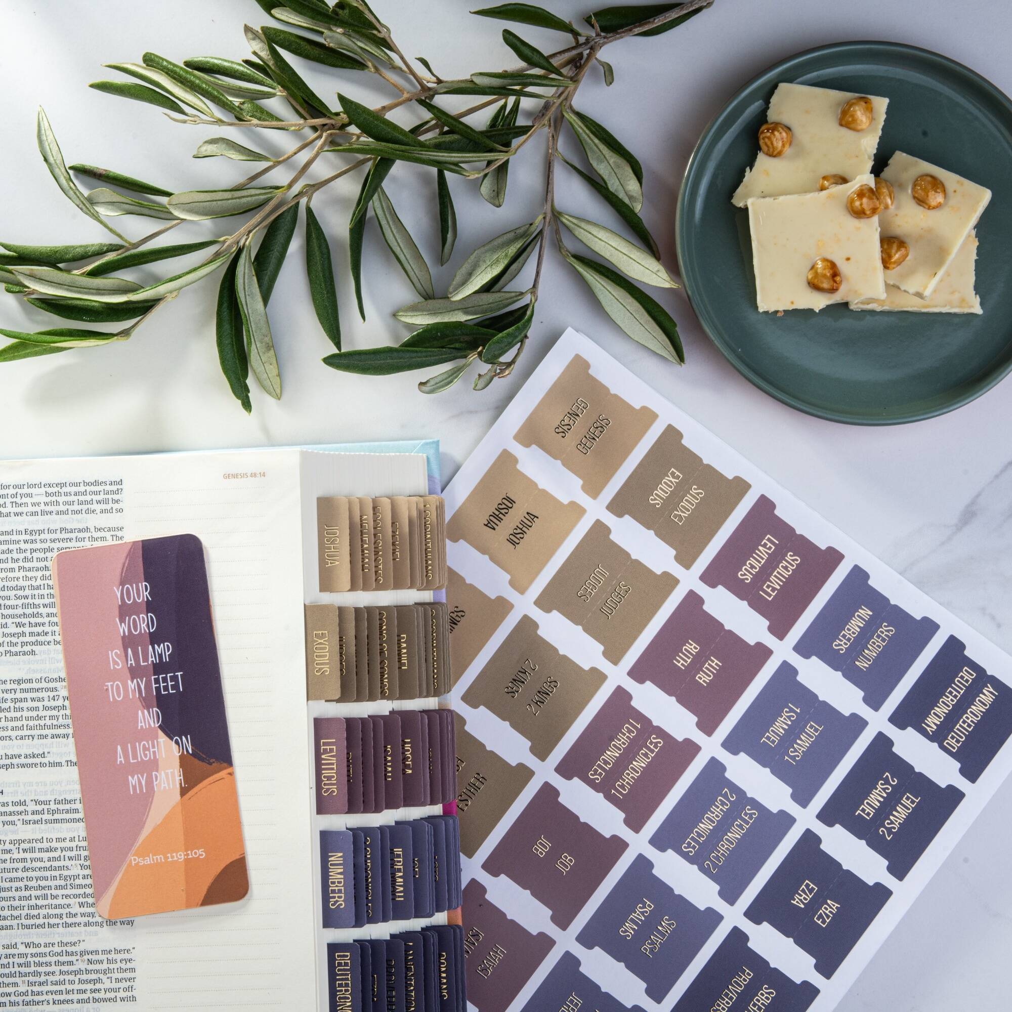 Bible Tabs - Olive