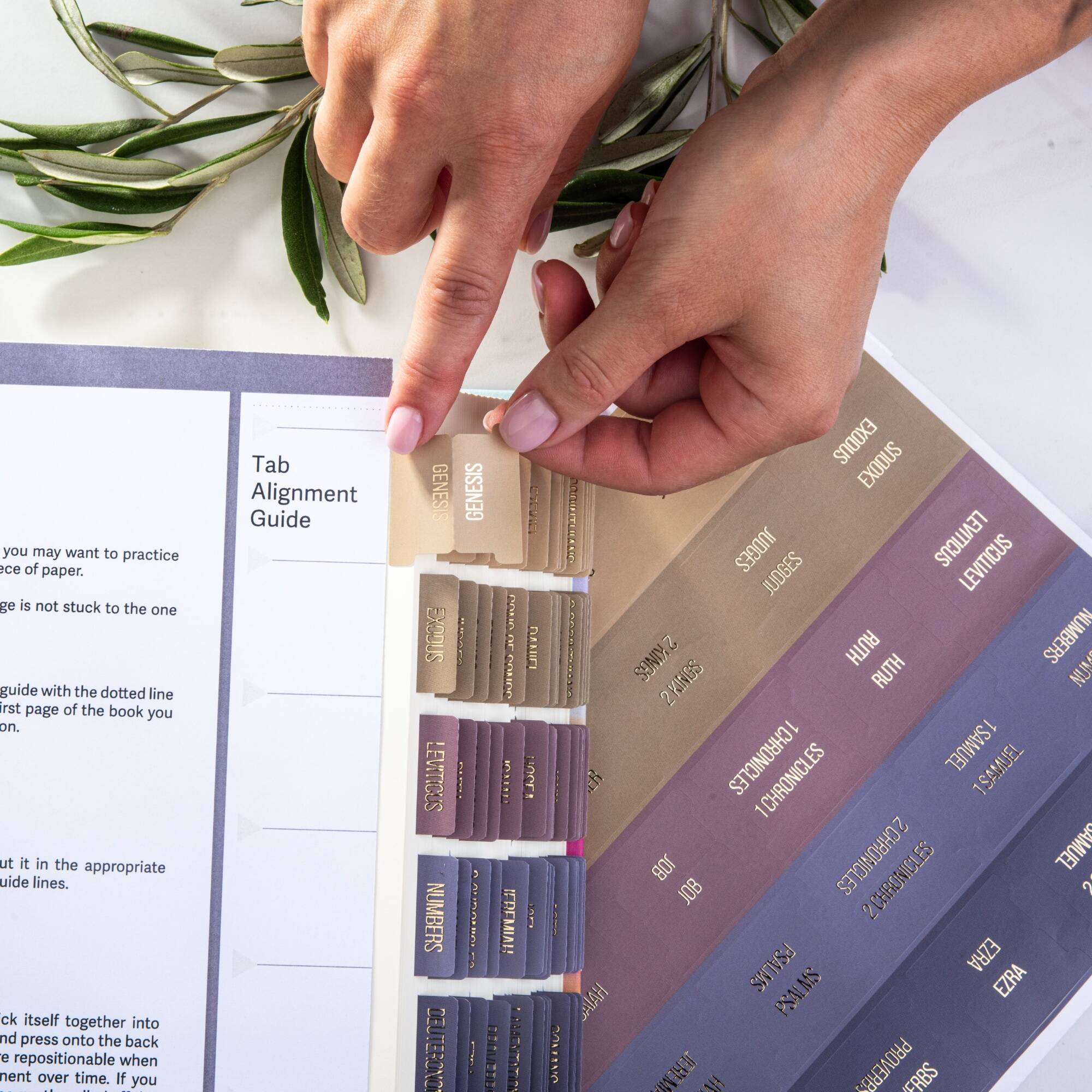 Bible Tabs - Olive