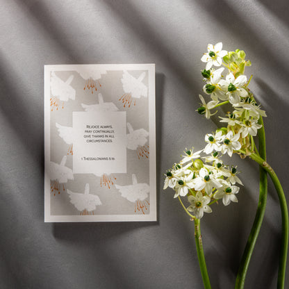 Greeting Cards - Bloom (20 Pack)