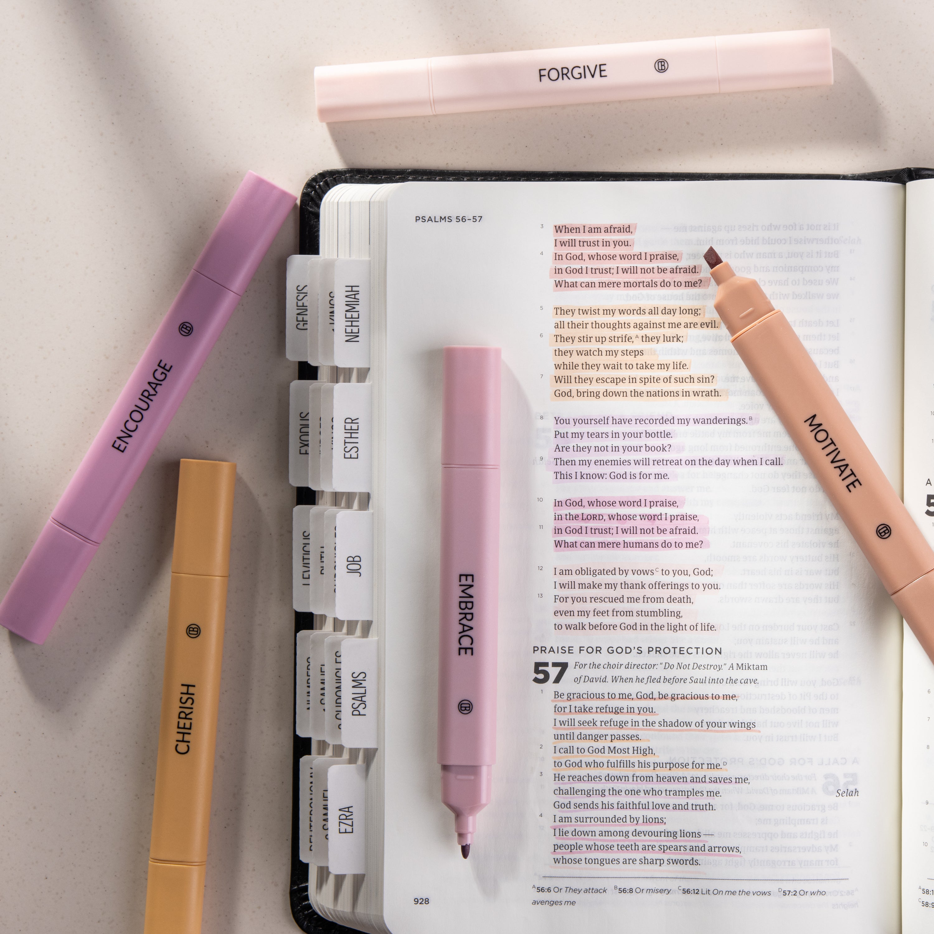 Dual Tip Highlighters Assorted Colors - Rose