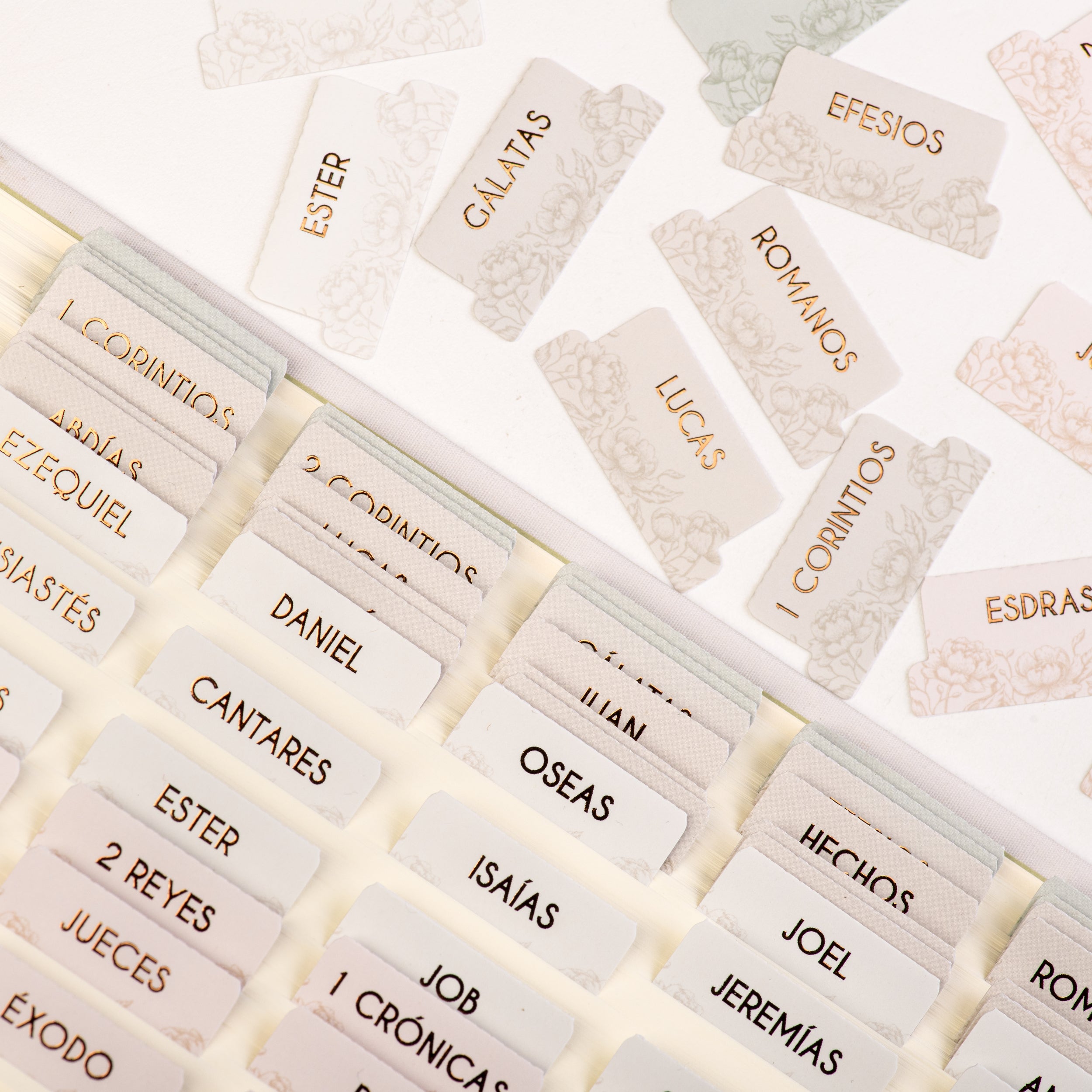 DiverseBee Spanish Bible Tabs Gold Foil