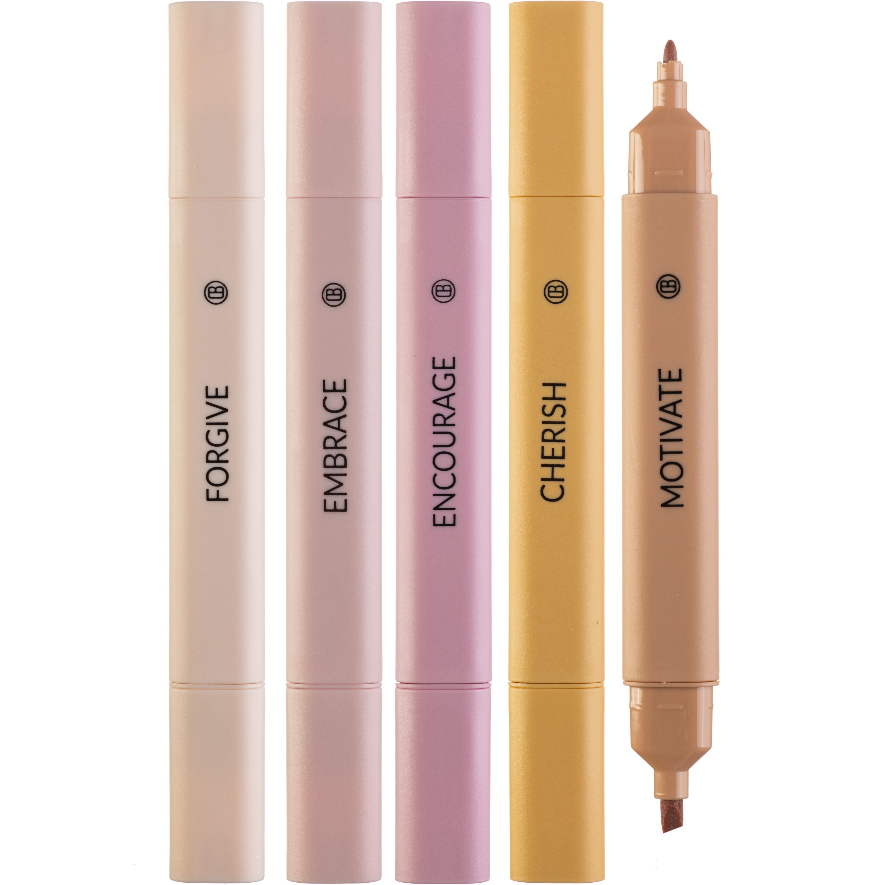 Dual Tip Highlighters Assorted Colors - Rose