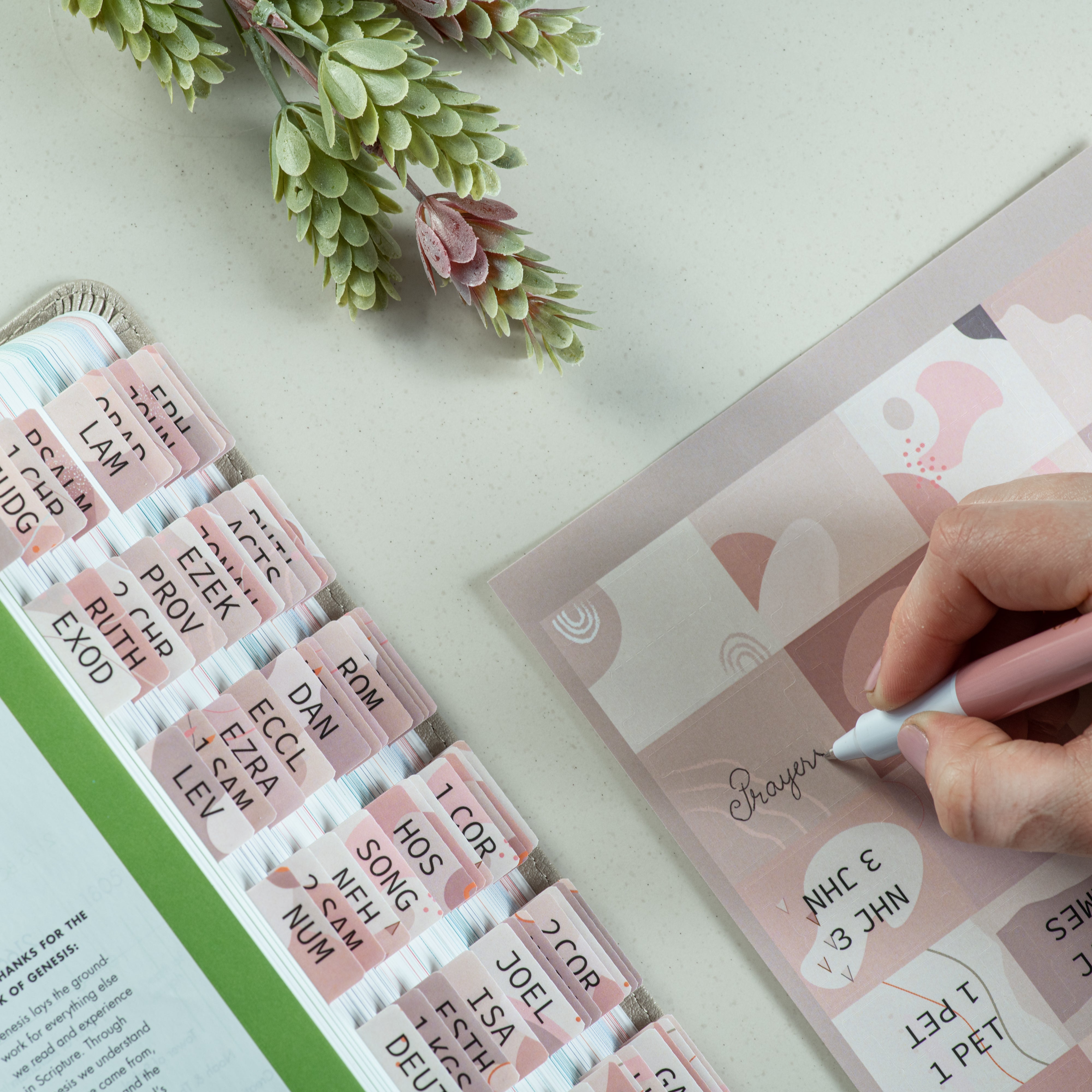 Bible study tabs