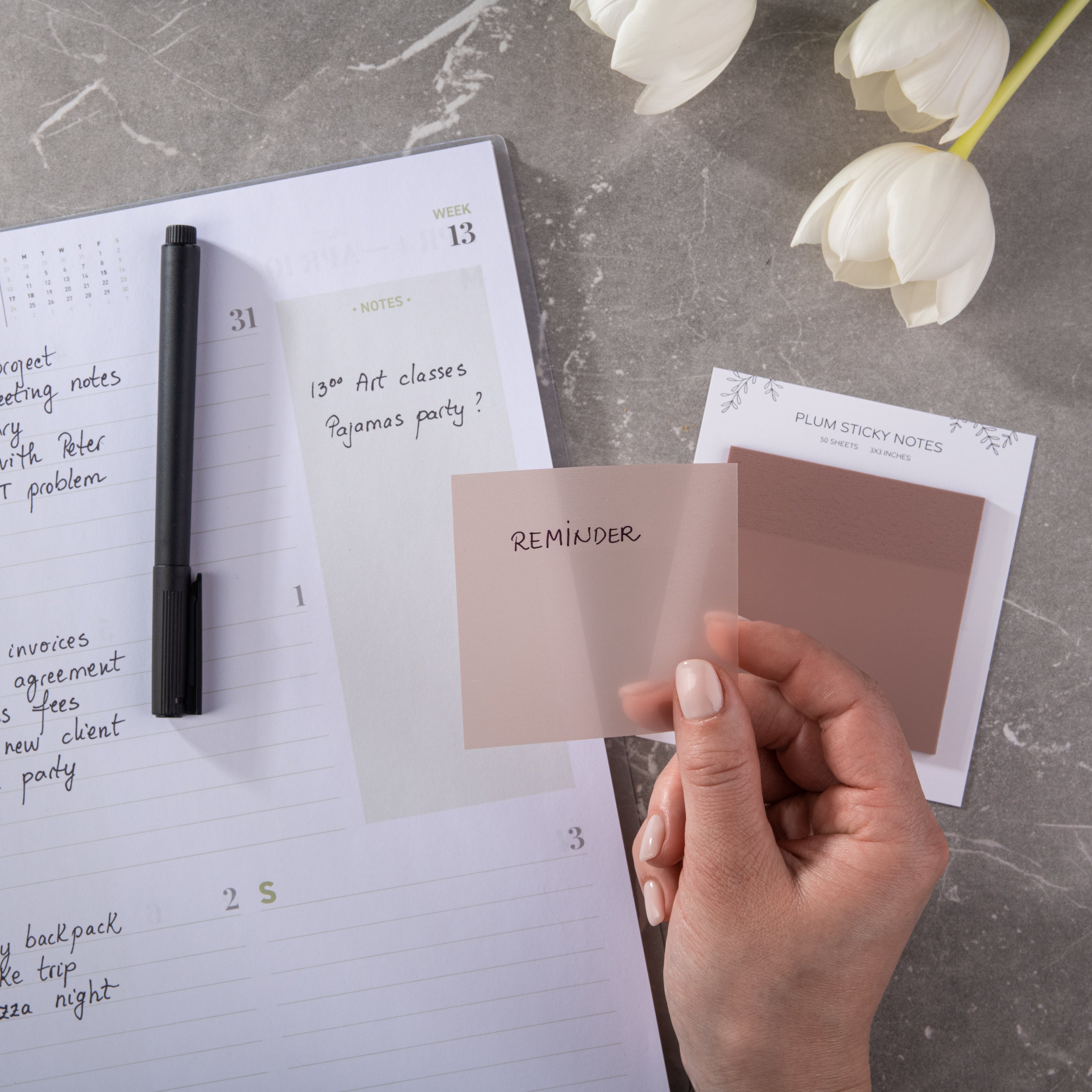 Pastel Transparent Sticky Notes - Plum