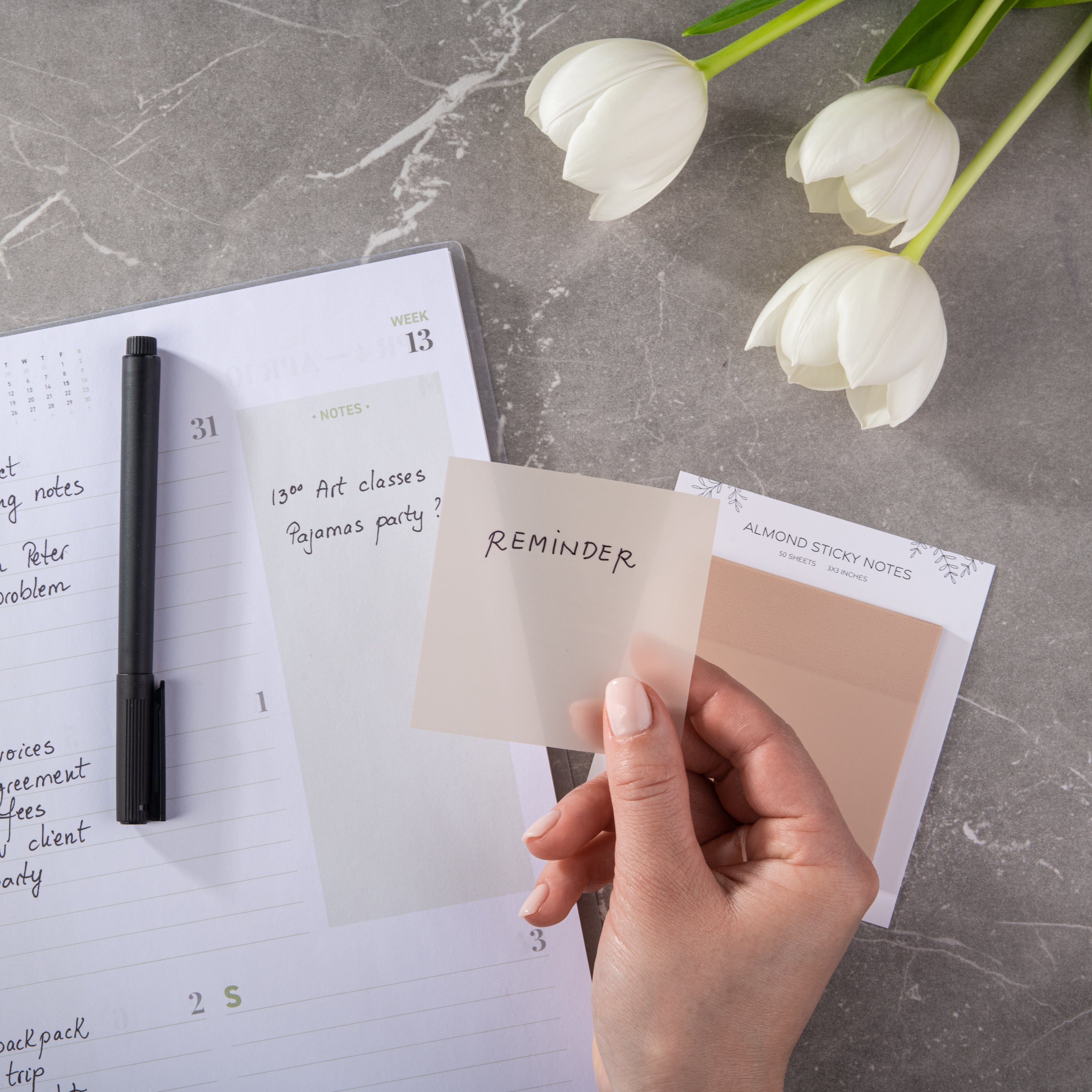 Pastel Transparent Sticky Notes - Almond