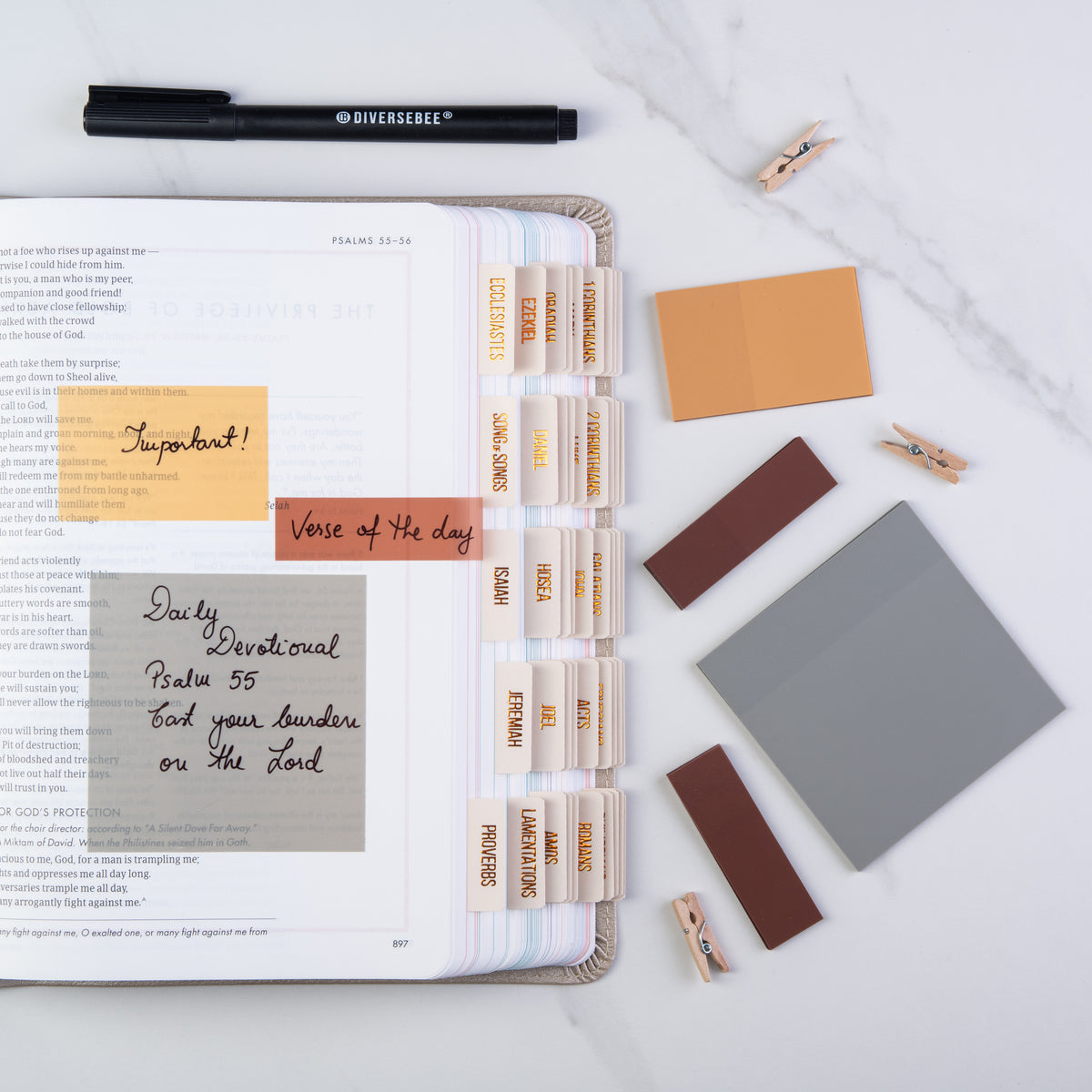 Transparent Sticky Notes Kit - Dune – DiverseBee