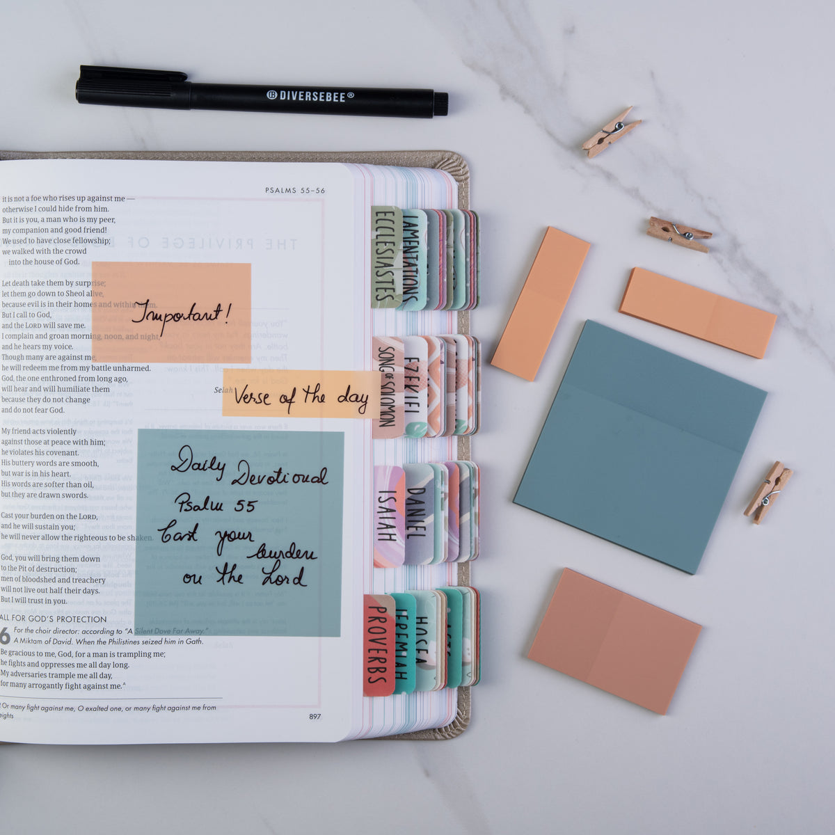 Transparent Sticky Notes Kit - Candy – DiverseBee