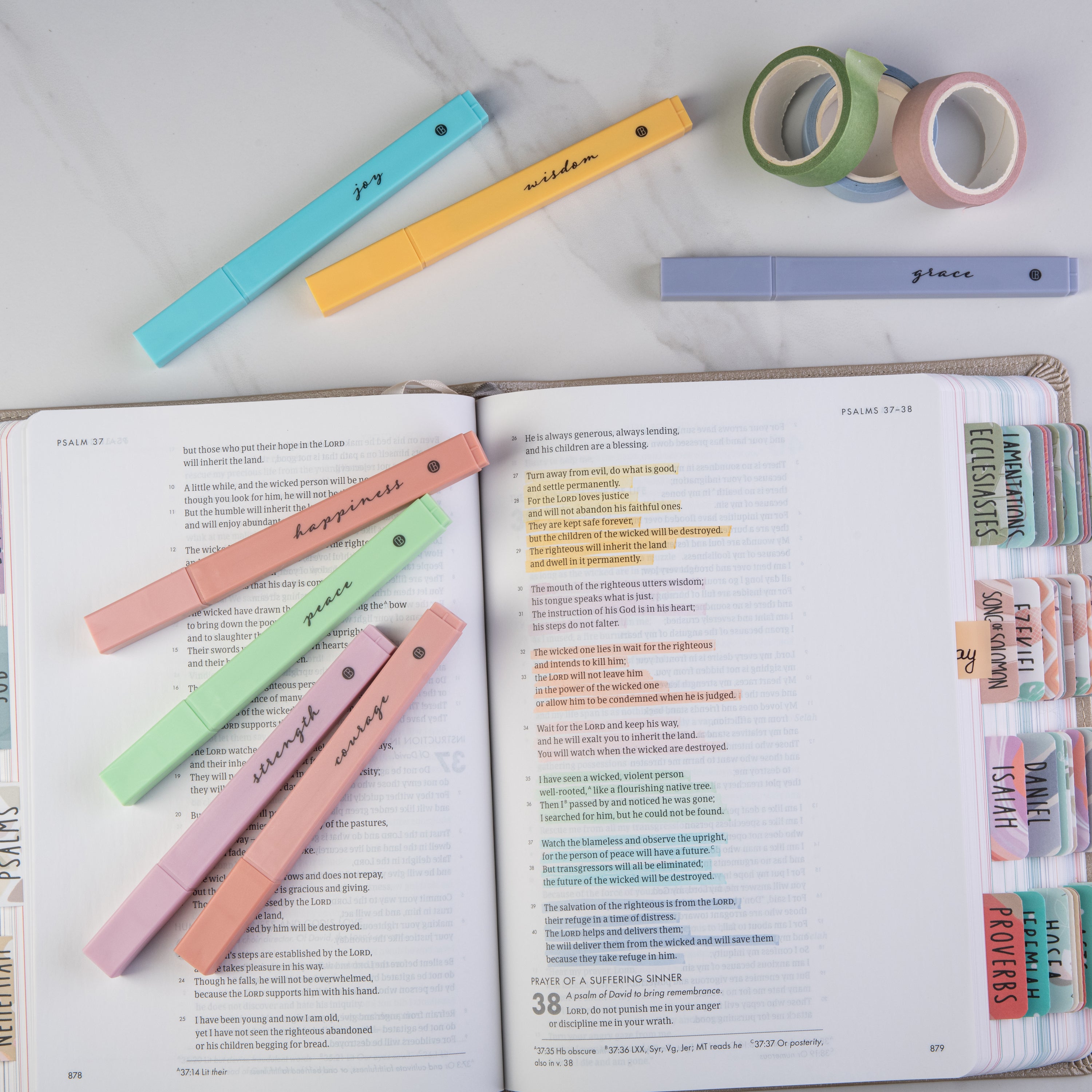 DiverseBee Pastel Gel Crayons (Bible Highlighters) - Swatching and First  Impression 