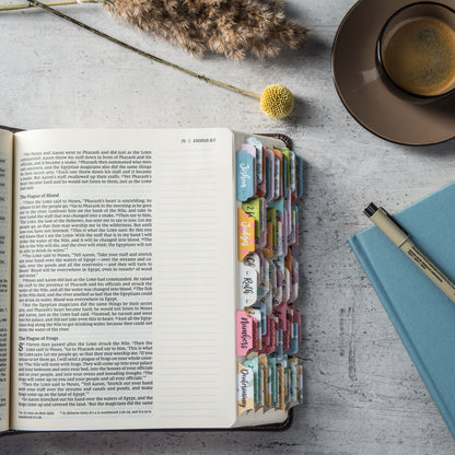Bible Journaling Tabs