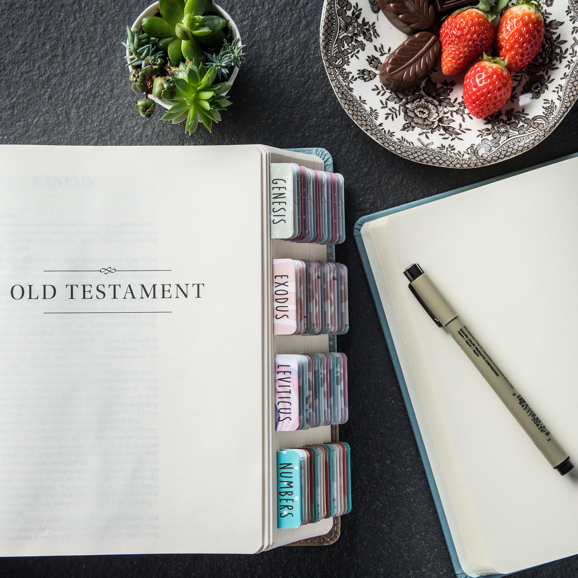 Large print font Bible tabs