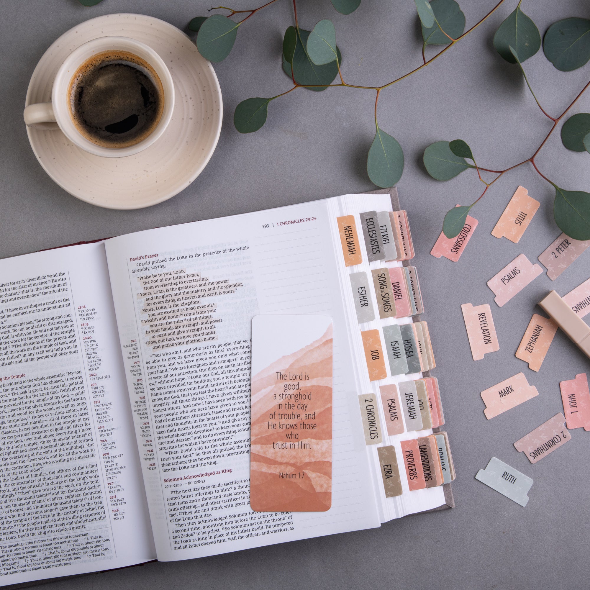 Bible Tabs - Earthy Theme