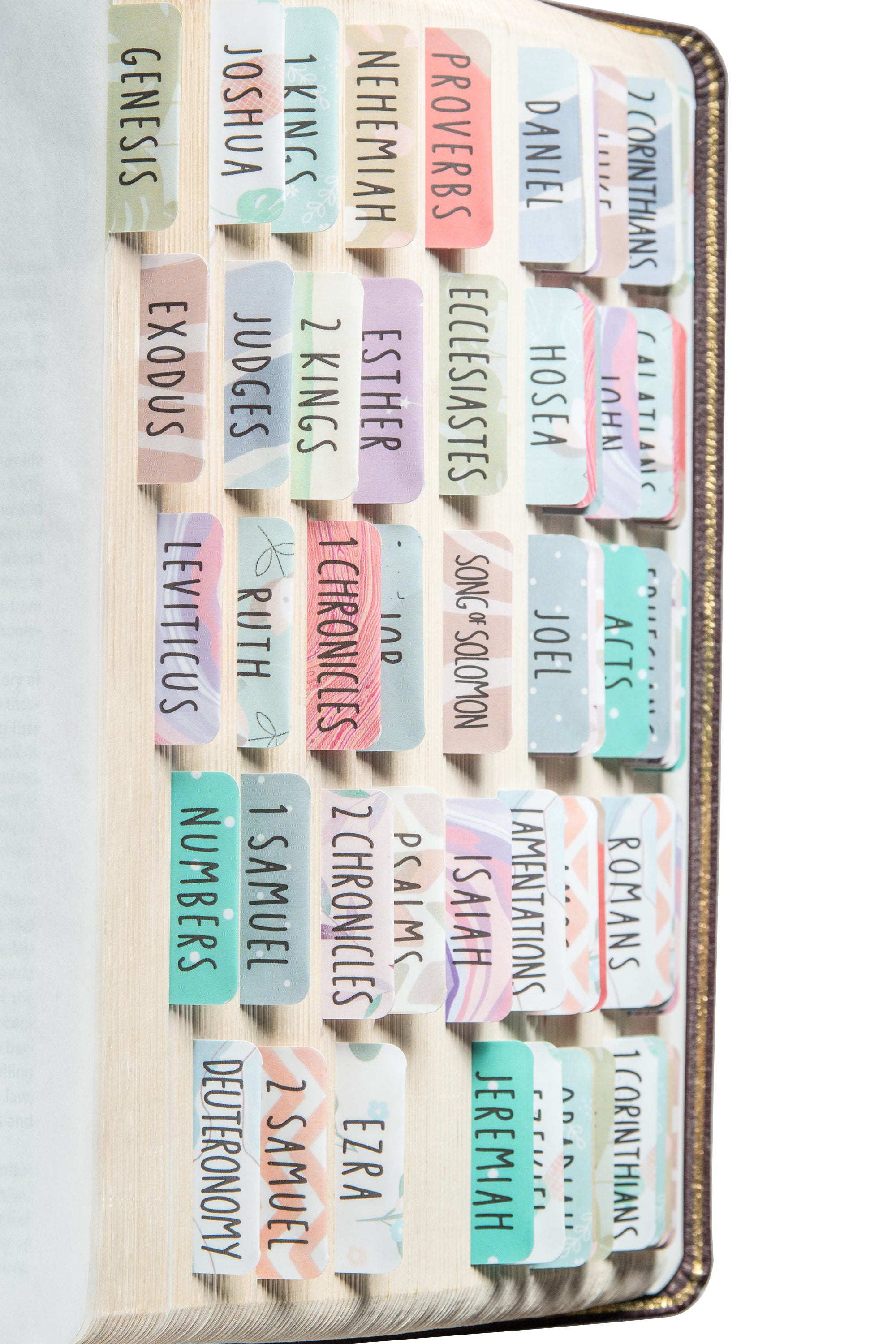 DiverseBee Laminated Bible Tabs (Large Print, Easy to Apply), Bible Study  Journaling Supplies, 84 Bible Index Book Tabs for Men and Women, Bible  Accessories, Includes 18 Blank Tabs - Noble Theme - DCBG