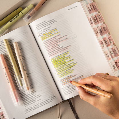 DiverseBee Bible Tabs