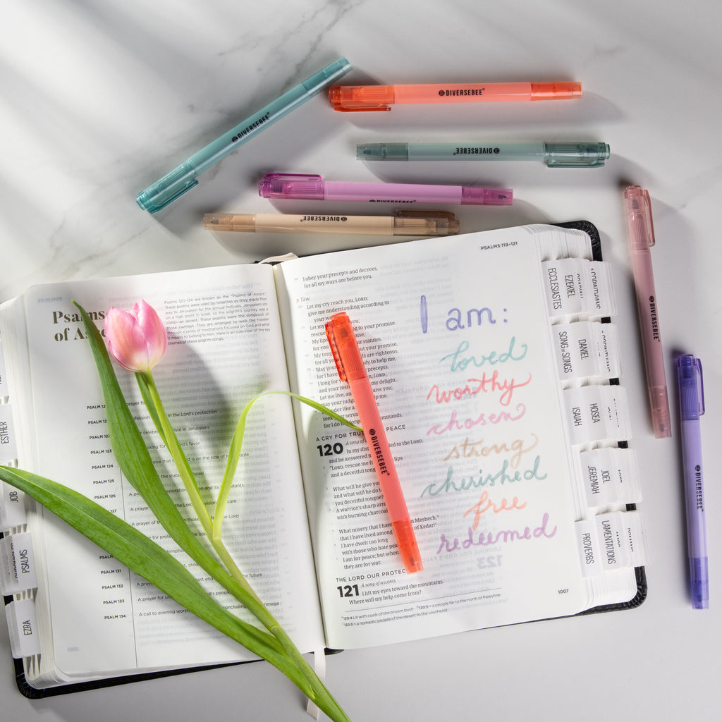 DiverseBee Planner Highlighters and Pens
