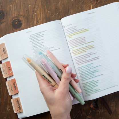 DiverseBee Gel Highlighters